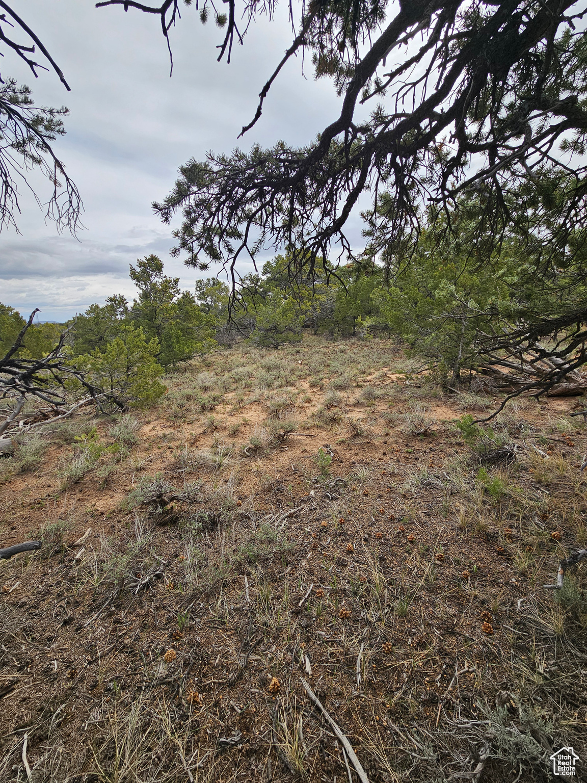 RIM ROCK RANCHES - Land