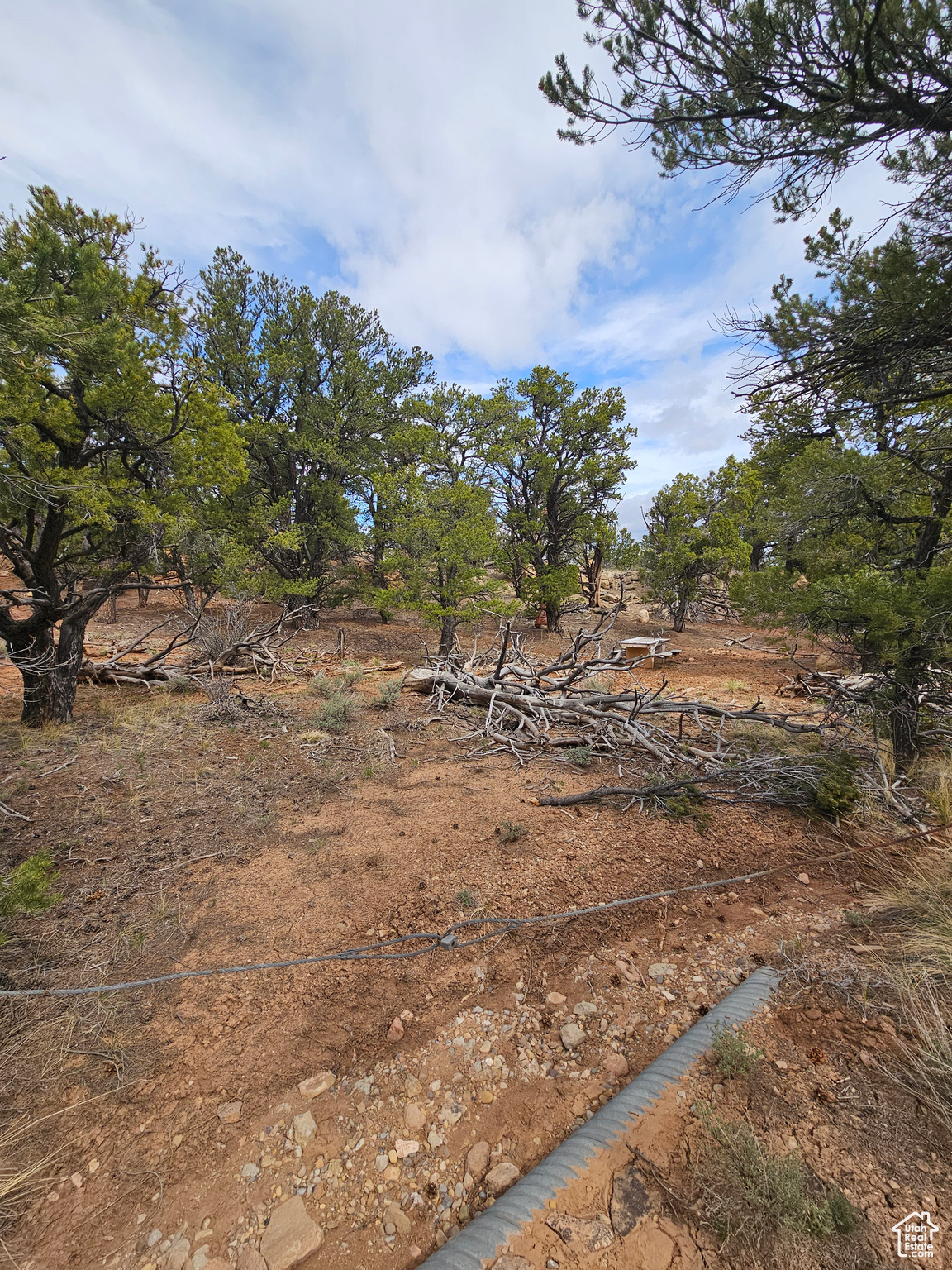RIM ROCK RANCHES - Land