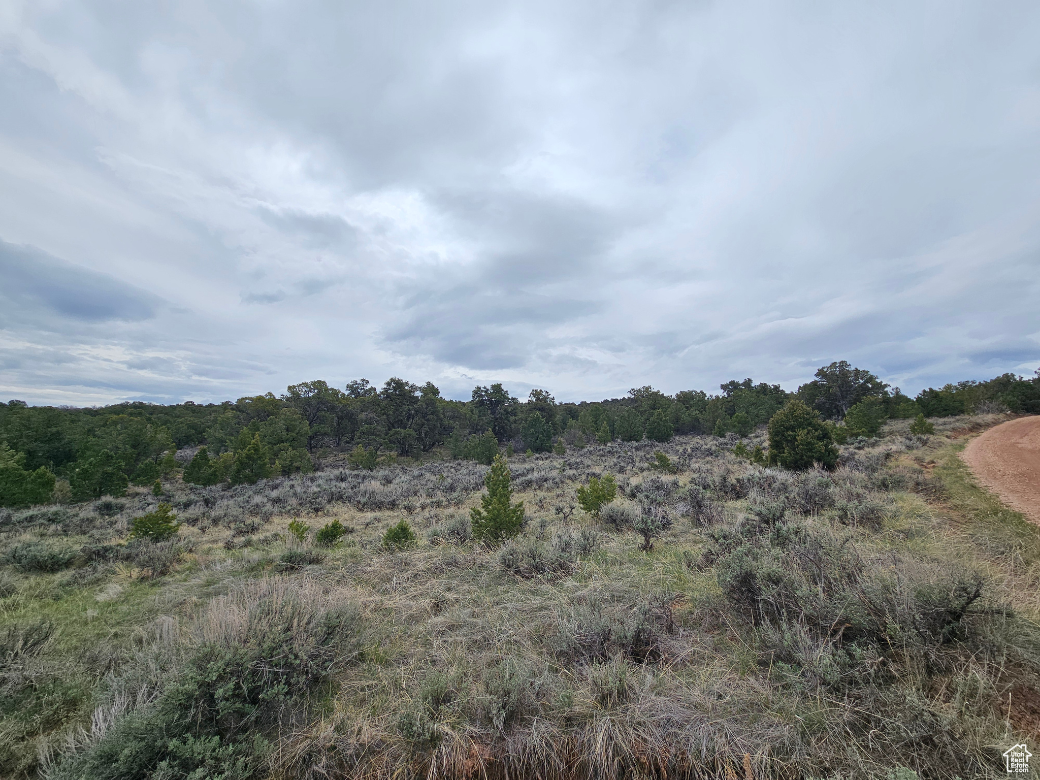 RIM ROCK RANCHES - Land