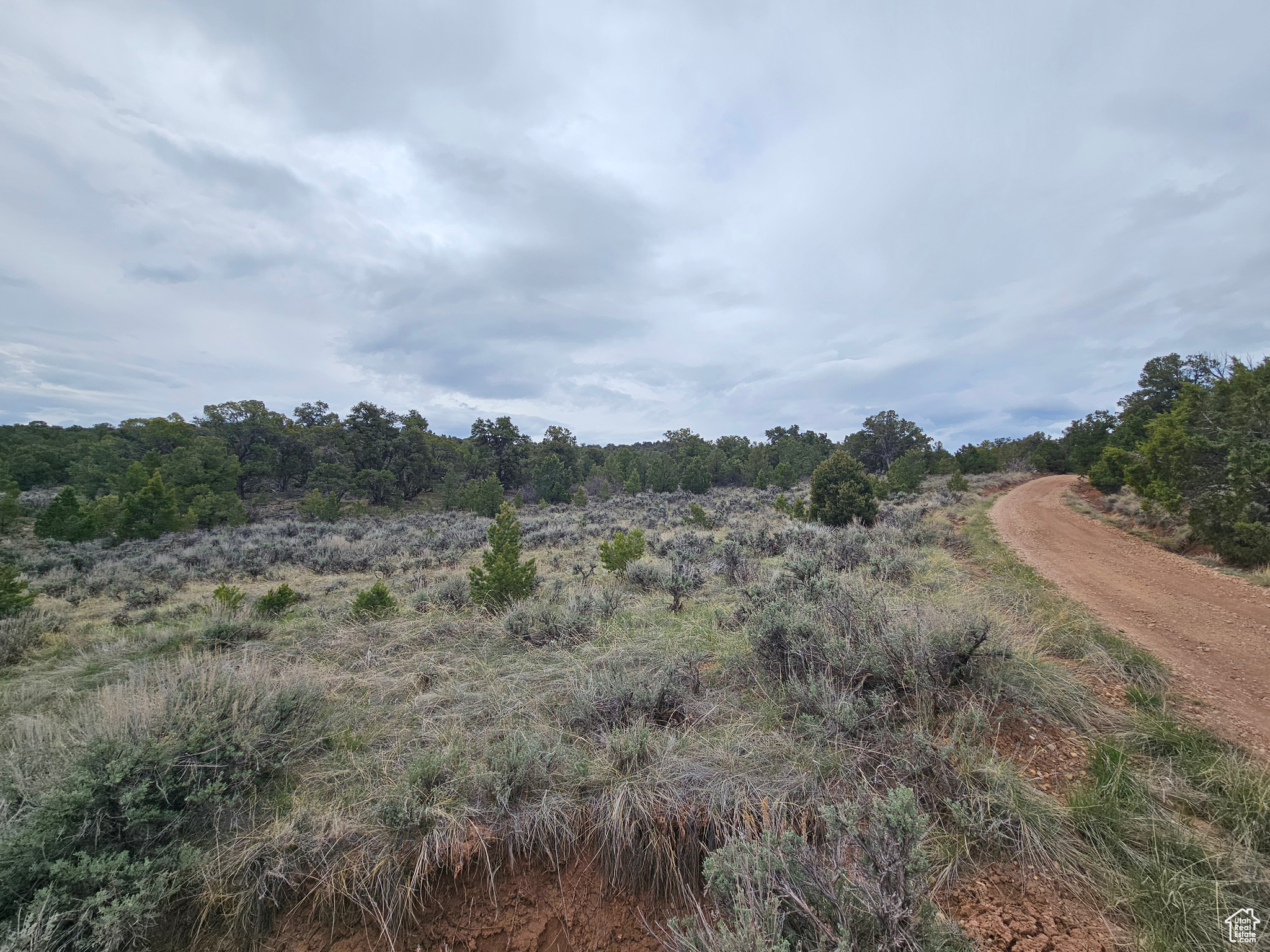 RIM ROCK RANCHES - Land