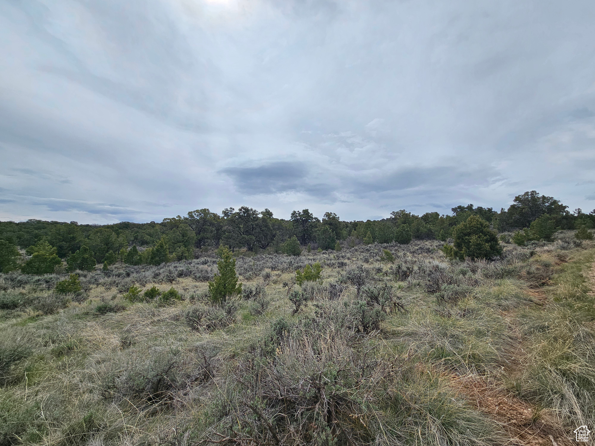 RIM ROCK RANCHES - Land