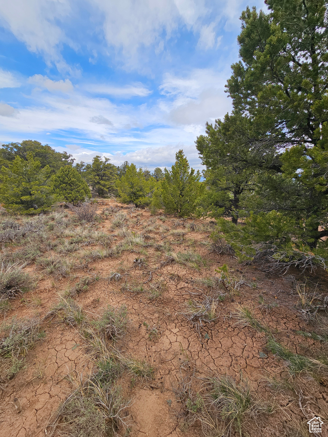 RIM ROCK RANCHES - Land