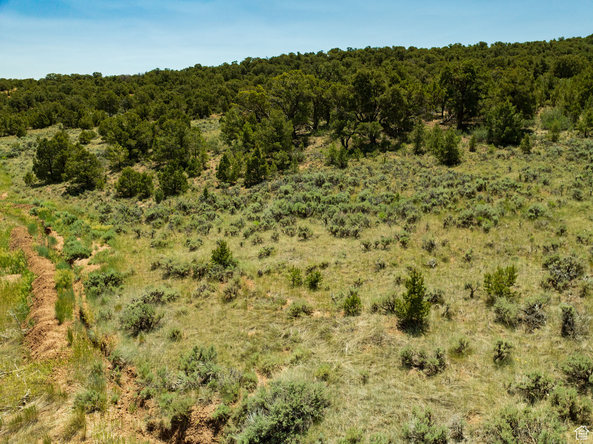 RIM ROCK RANCHES - Land