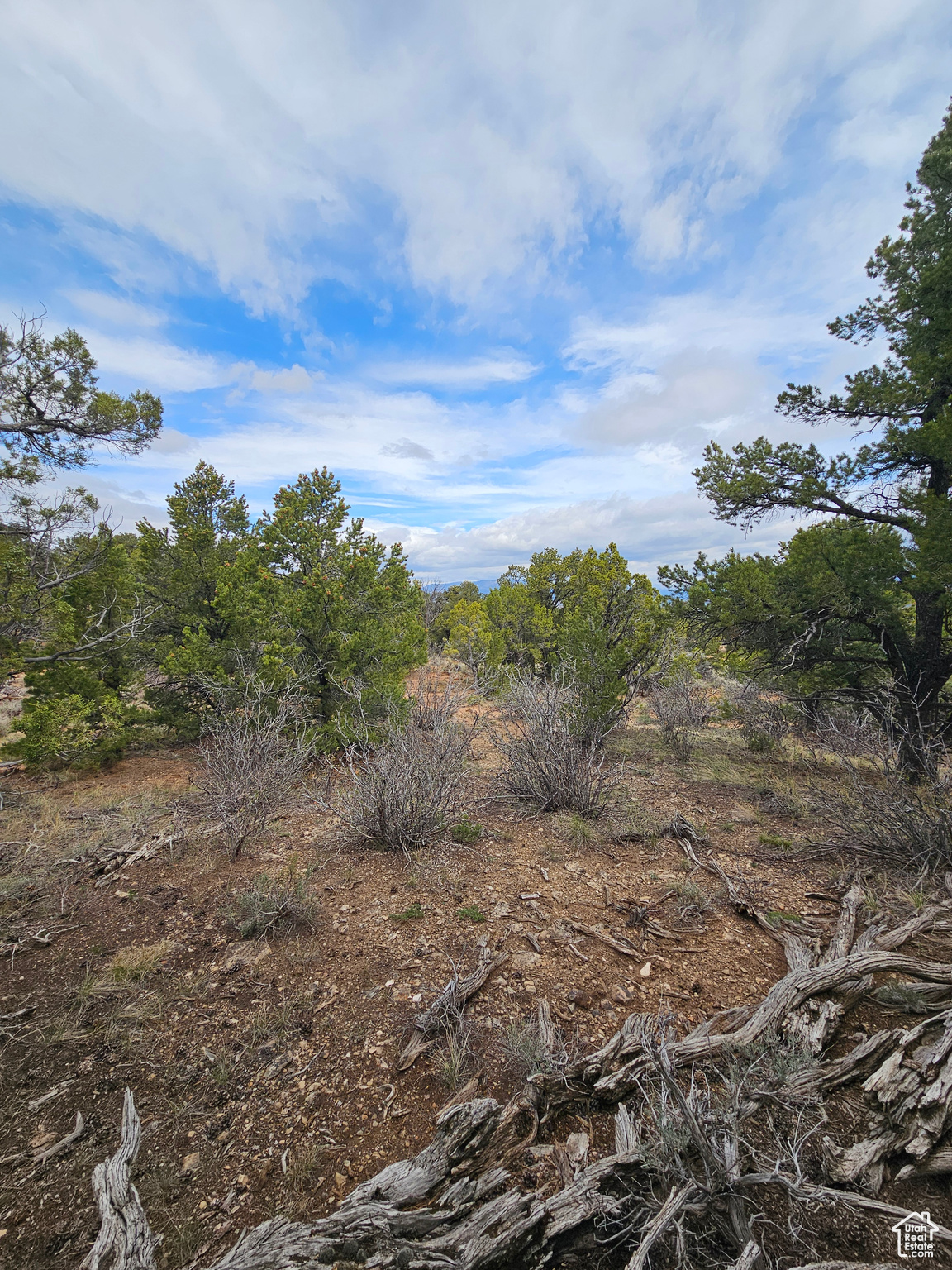 RIM ROCK RANCHES - Land