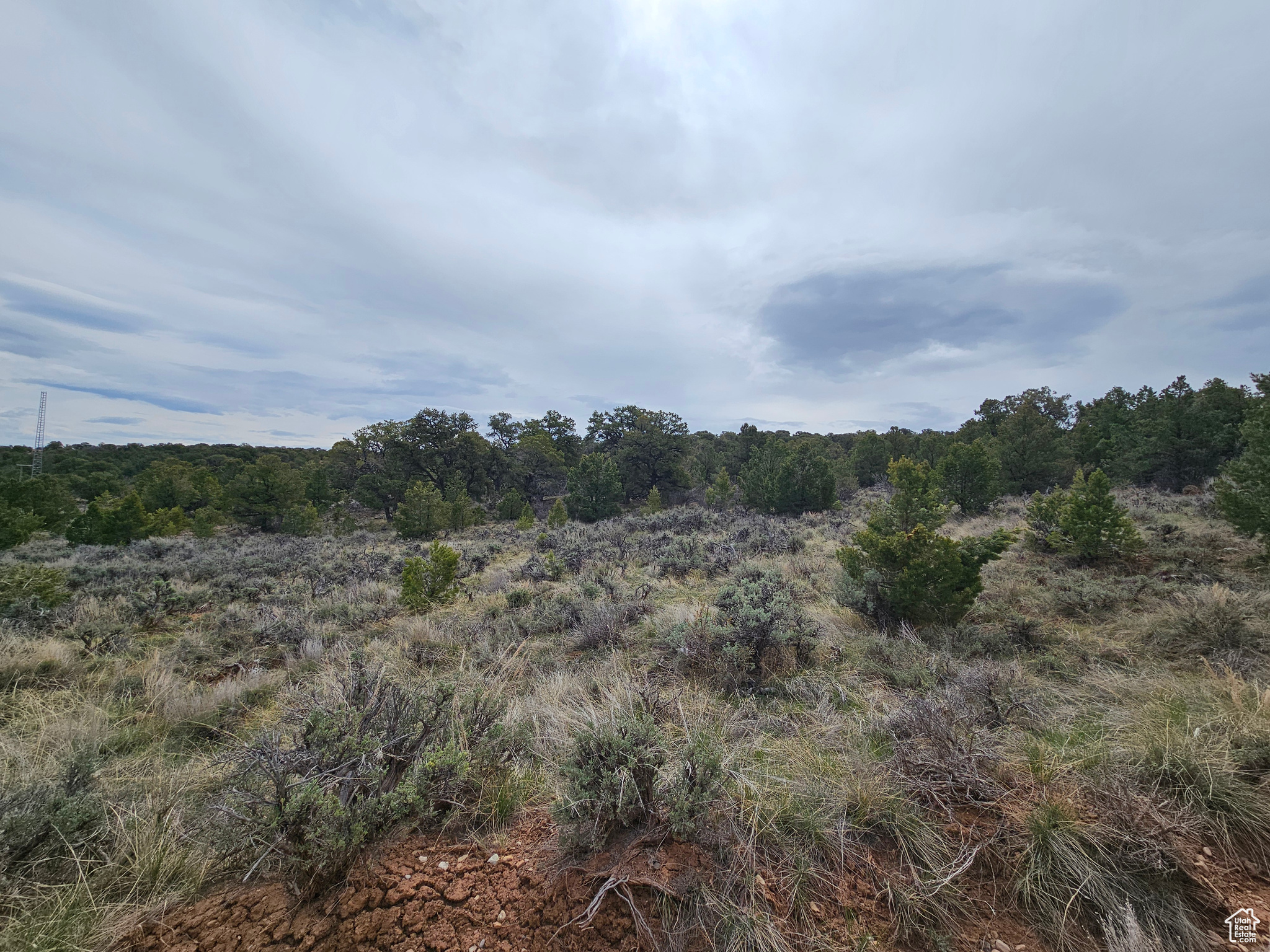 RIM ROCK RANCHES - Land