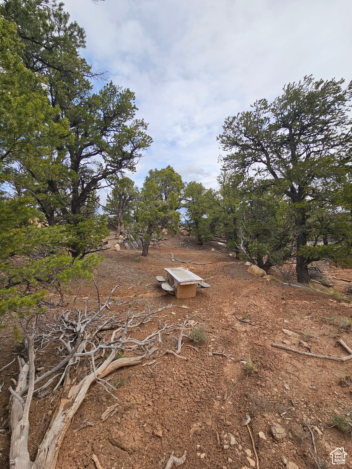 RIM ROCK RANCHES - Land