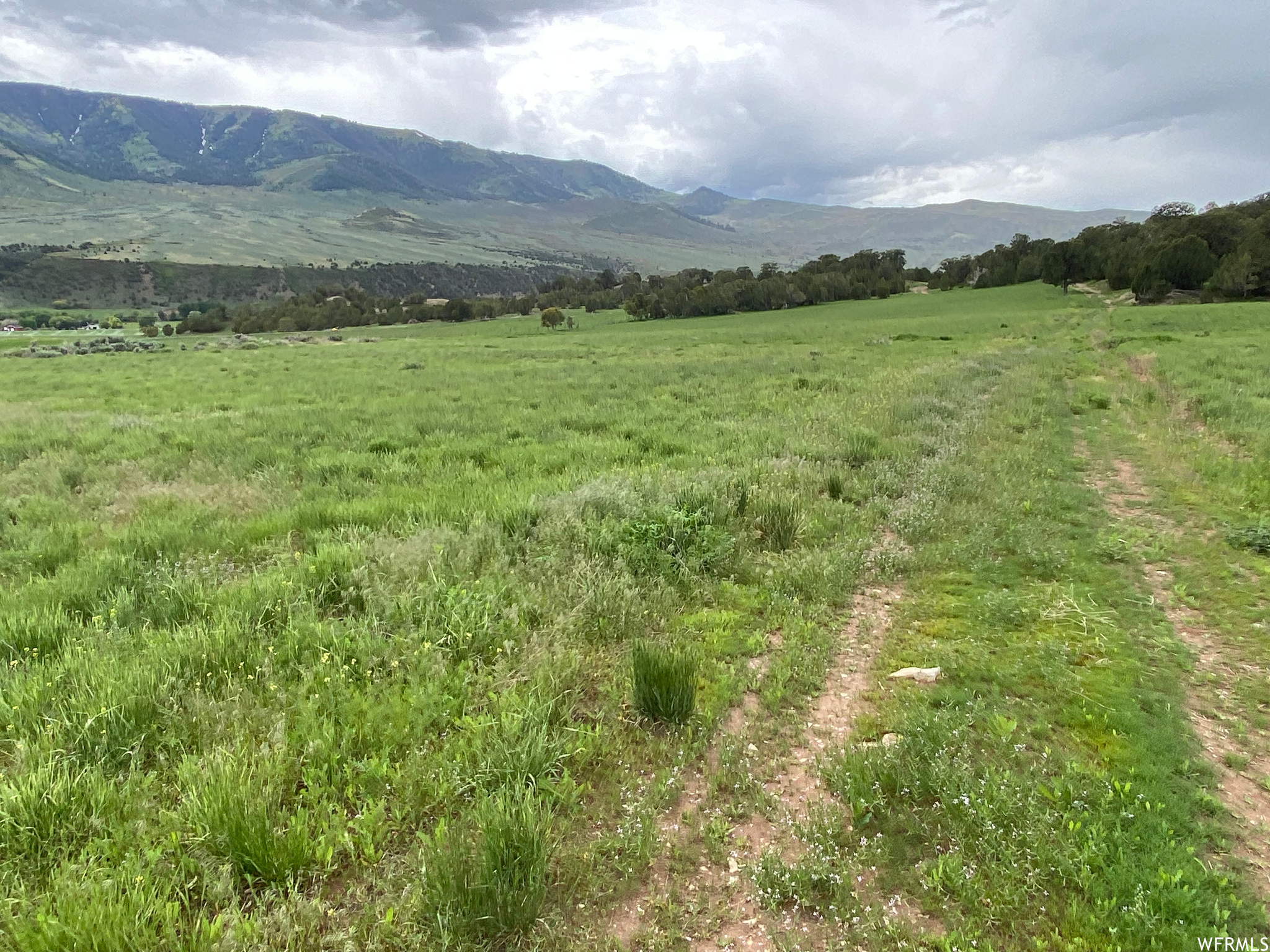 Land, Hanna, Utah image 7