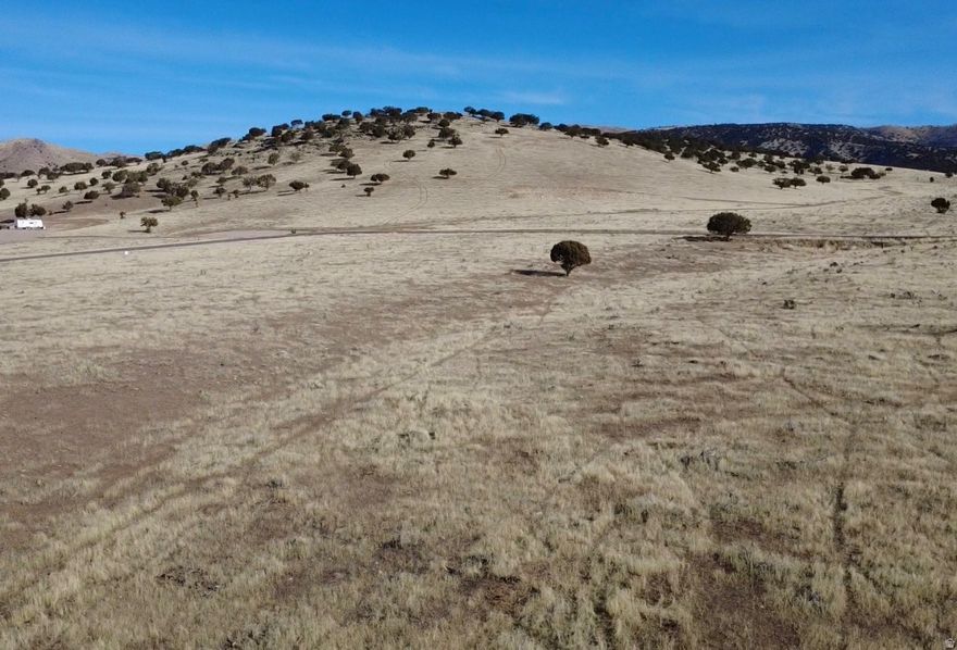 Lot 24 of Grandview Mountain Estates is one of 2 parcels that allows for either an east or north facing home.  The gradual slope provides an excellent potential for a walkout design or a view deck.  Grandview's signature panoramic views include Mt. Nebo, Horseshoe Mountain, Maple Canyon, and surrounding ranges.  Additional acreage is available, with the option to expand this lot as much as 26 acres.  A drilled well and 1 acre ft. water right are included in the purchase.  Primary power runs along the road, and natural gas can be brought to the lot.   GOOGLE COORDINATES: 39.5983, -111.59903.