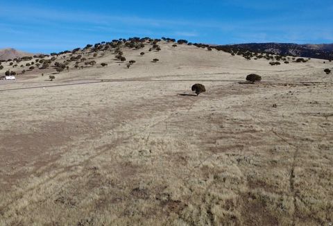 Vacant Land For Sale - 22275 N 2500 #24<br/> Fountain Green, UT 84632