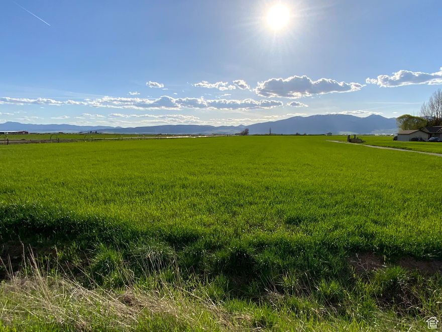 PREMIUM 6-ACRE HOMESITE WITH WATER RIGHTS - PRESTON, IDAHO Rare Opportunity 10 Irrigation Shares Animal Rights. Discover this exceptional 6-acre parcel offering the perfect balance of country living with convenient proximity to Preston's amenities. This premier building site features premium flat crop land ideal for agricultural pursuits while providing the perfect canvas for your dream home. Property Highlights: 10 valuable shares of irrigation water, Full animal rights for hobby farm or equestrian interests, Flat, usable terrain with excellent soil quality, Pressurized gravity flow irrigation water, Breathtaking panoramic countryside views, Upscale neighboring properties, Close to town conveniences. Situated in one of Preston's most desirable rural neighborhoods, this versatile property allows you to build exactly what you want while enjoying the freedom of country living. Bring your builder and create the estate you've always imagined in this sought-after location. Don't miss this rare opportunity to secure acreage with water rights. Owner / Agent.