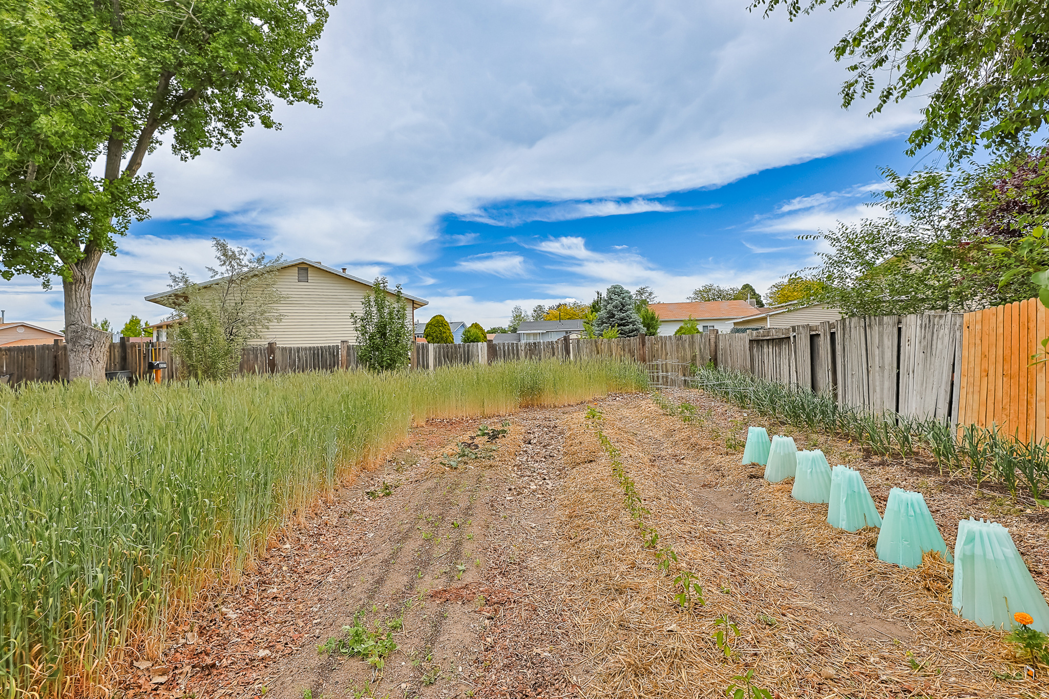 CHERRYWOOD - Residential