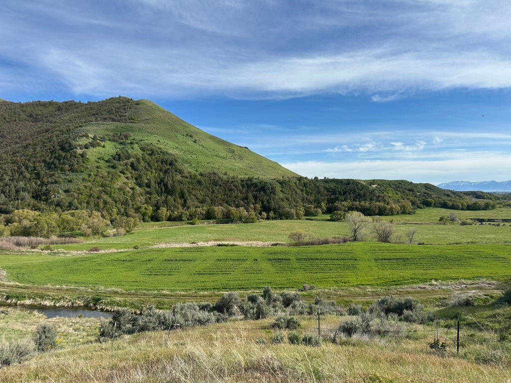 Photo of 4250 E CUBRIVER RD, Preston, ID 83263 (MLS # 2168416)