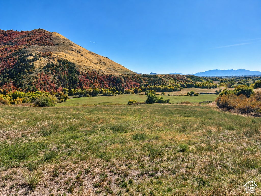 Photo of 4250 E CUBRIVER RD, Preston, ID 83263 (MLS # 2168416)