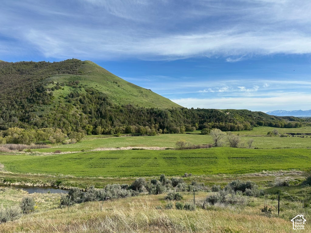 Photo of 4250 E CUBRIVER RD, Preston, ID 83263 (MLS # 2168416)