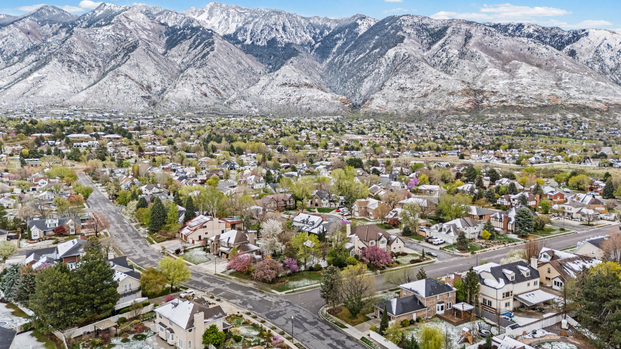 BRANDON PARK - Residential