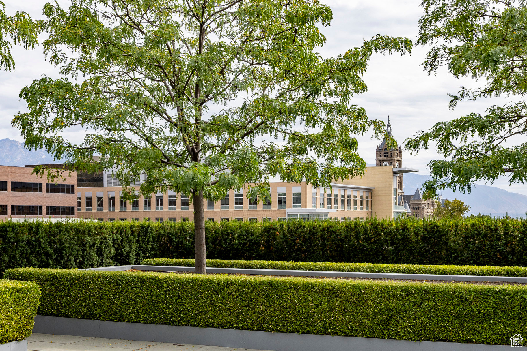 THE PLAZA - Residential