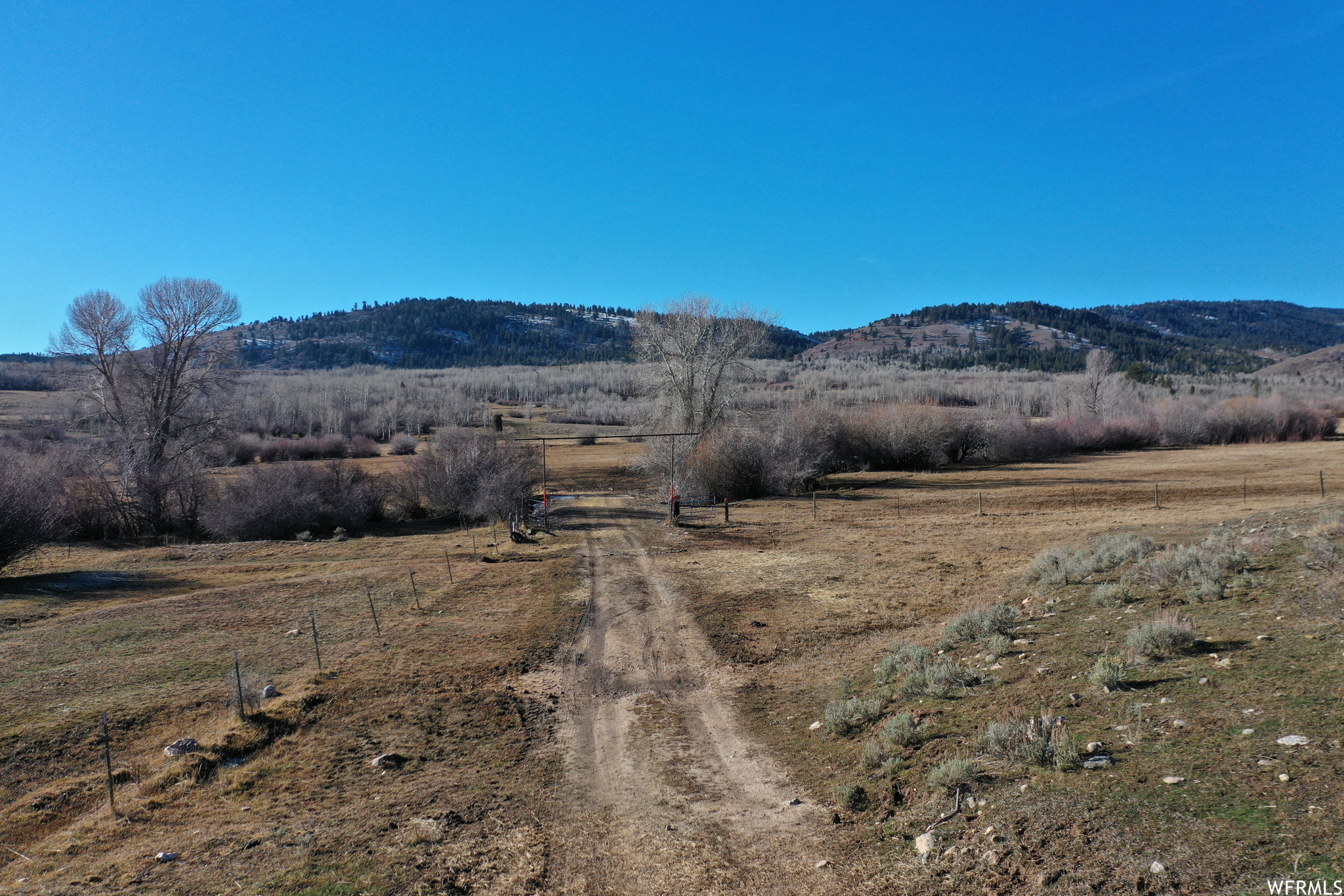 1354 Stauffer Canyon Rd, Montpelier, Idaho image 39