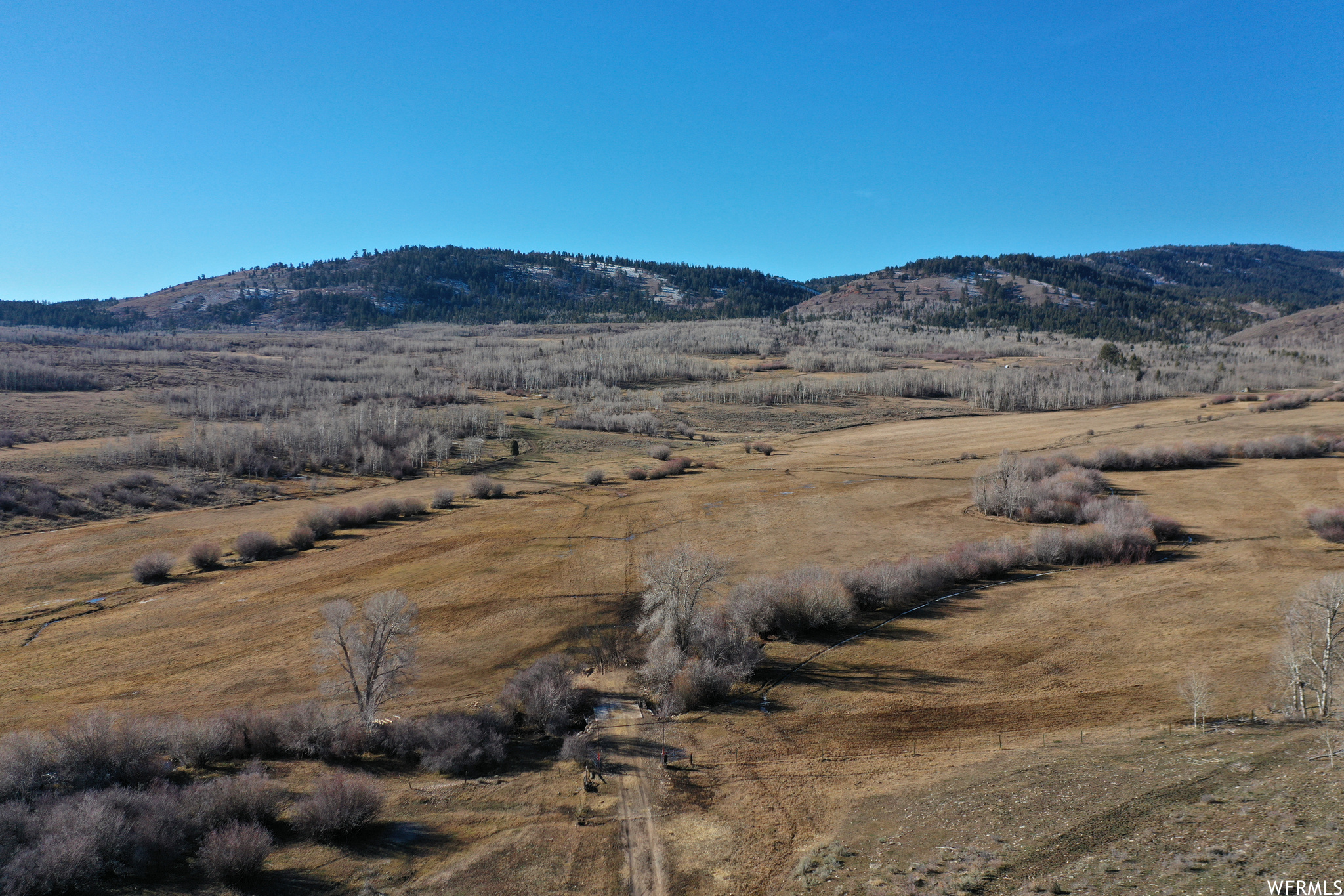 1354 Stauffer Canyon Rd, Montpelier, Idaho image 40