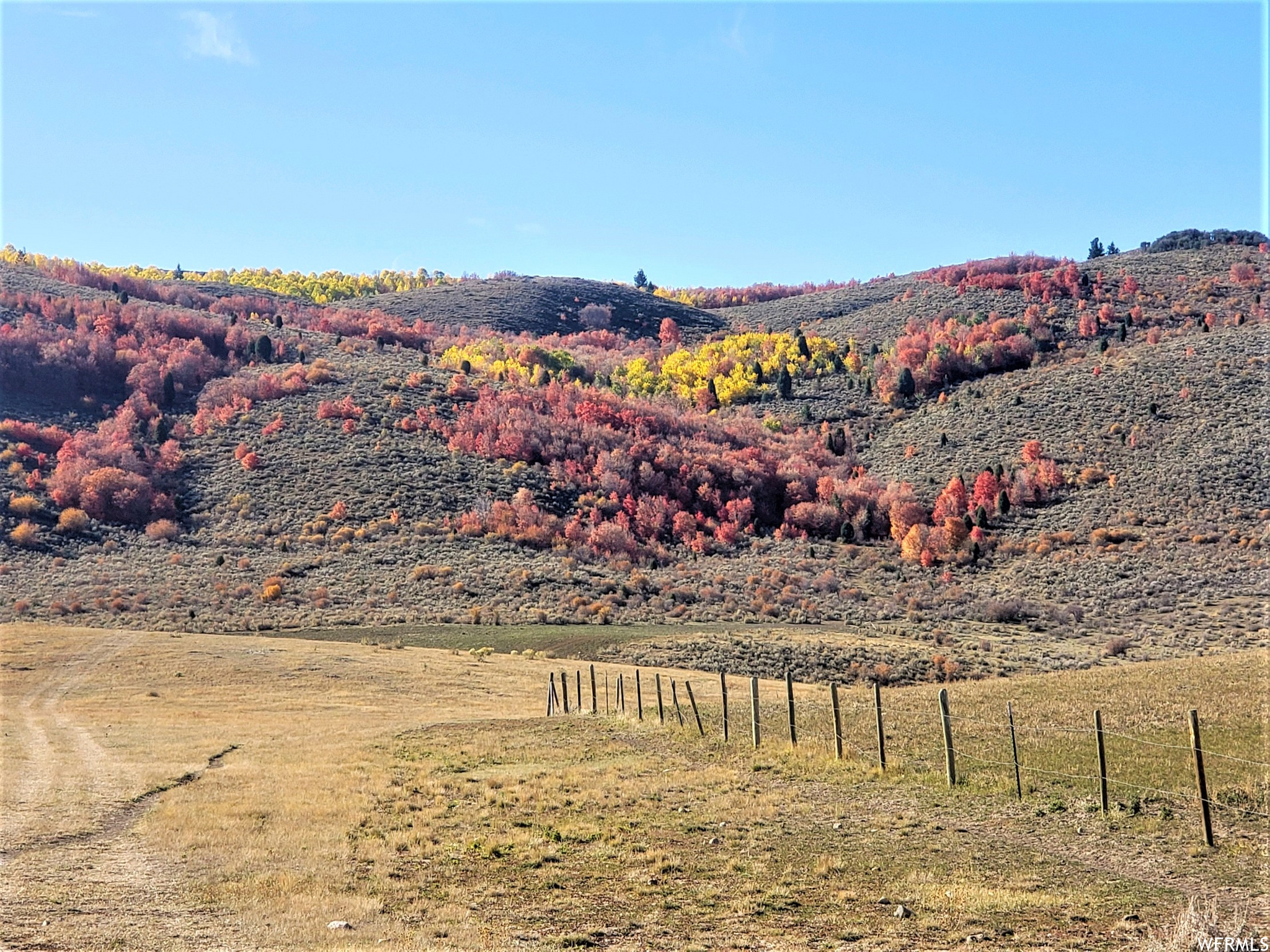 1354 Stauffer Canyon Rd, Montpelier, Idaho image 7