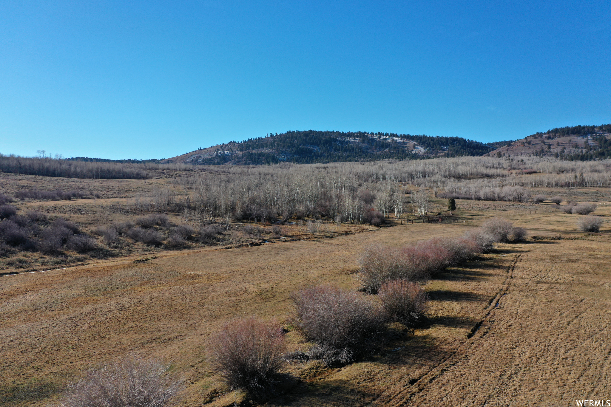 1354 Stauffer Canyon Rd, Montpelier, Idaho image 43