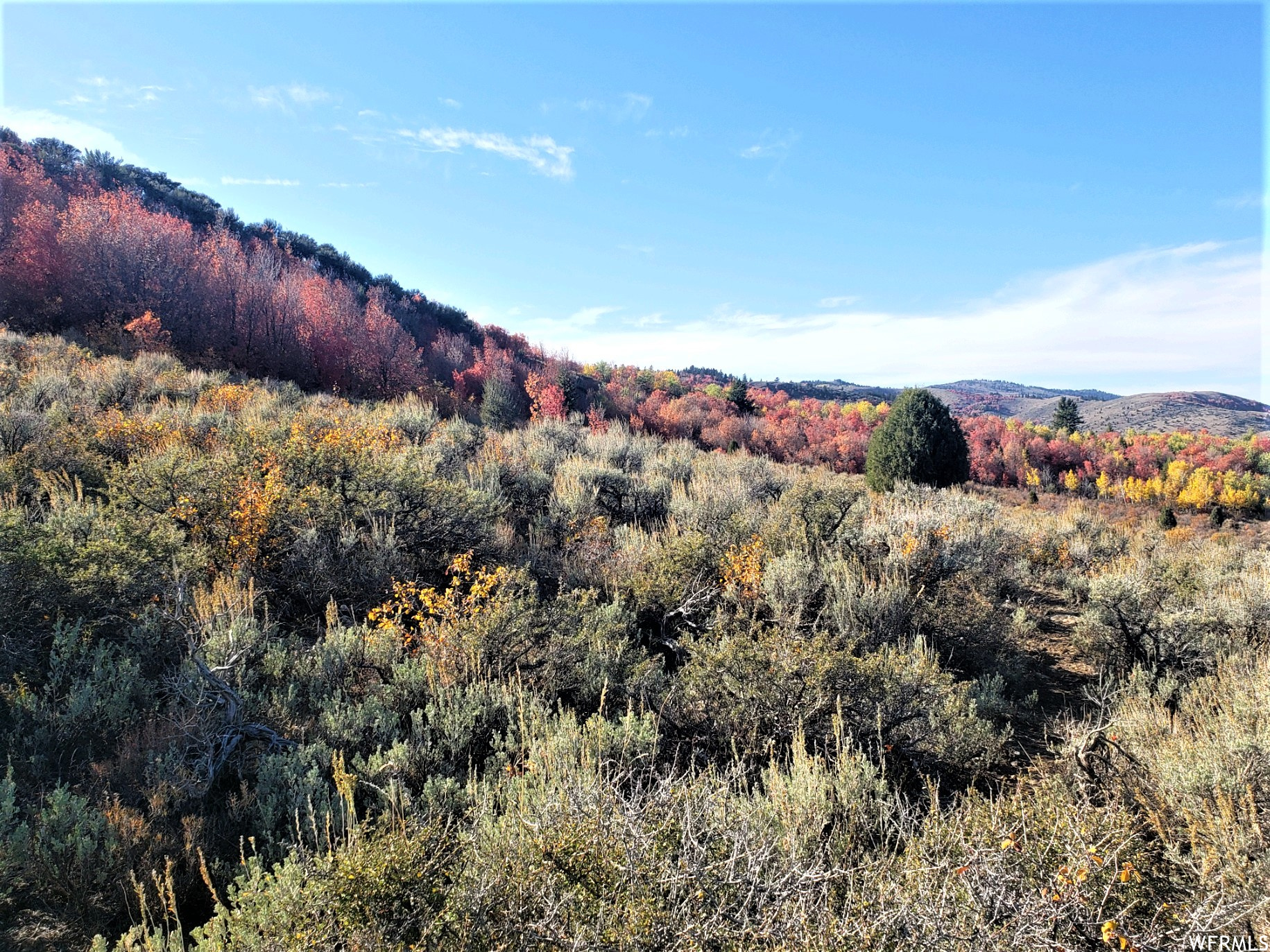 1354 Stauffer Canyon Rd, Montpelier, Idaho image 8