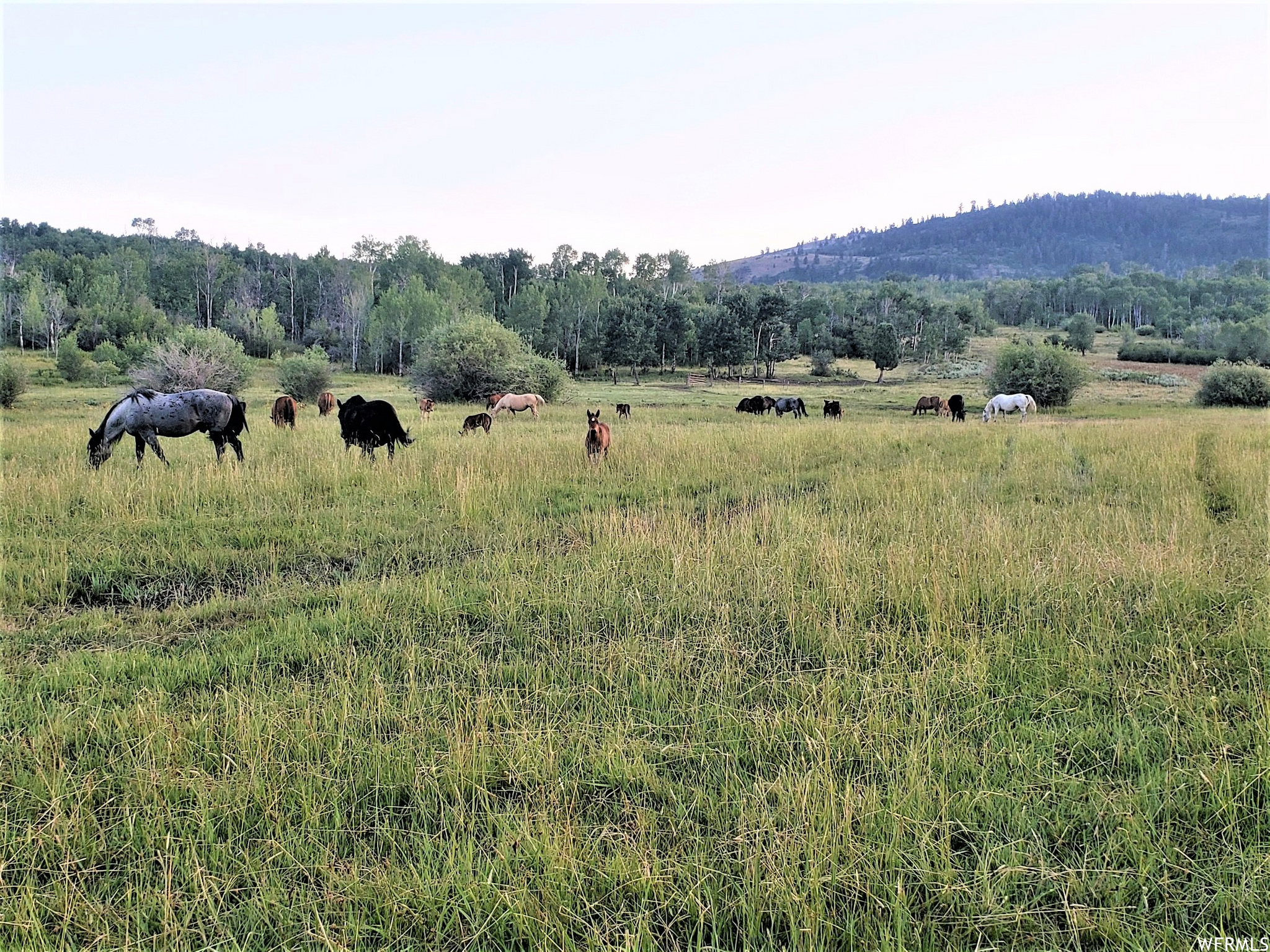 1354 Stauffer Canyon Rd, Montpelier, Idaho image 13