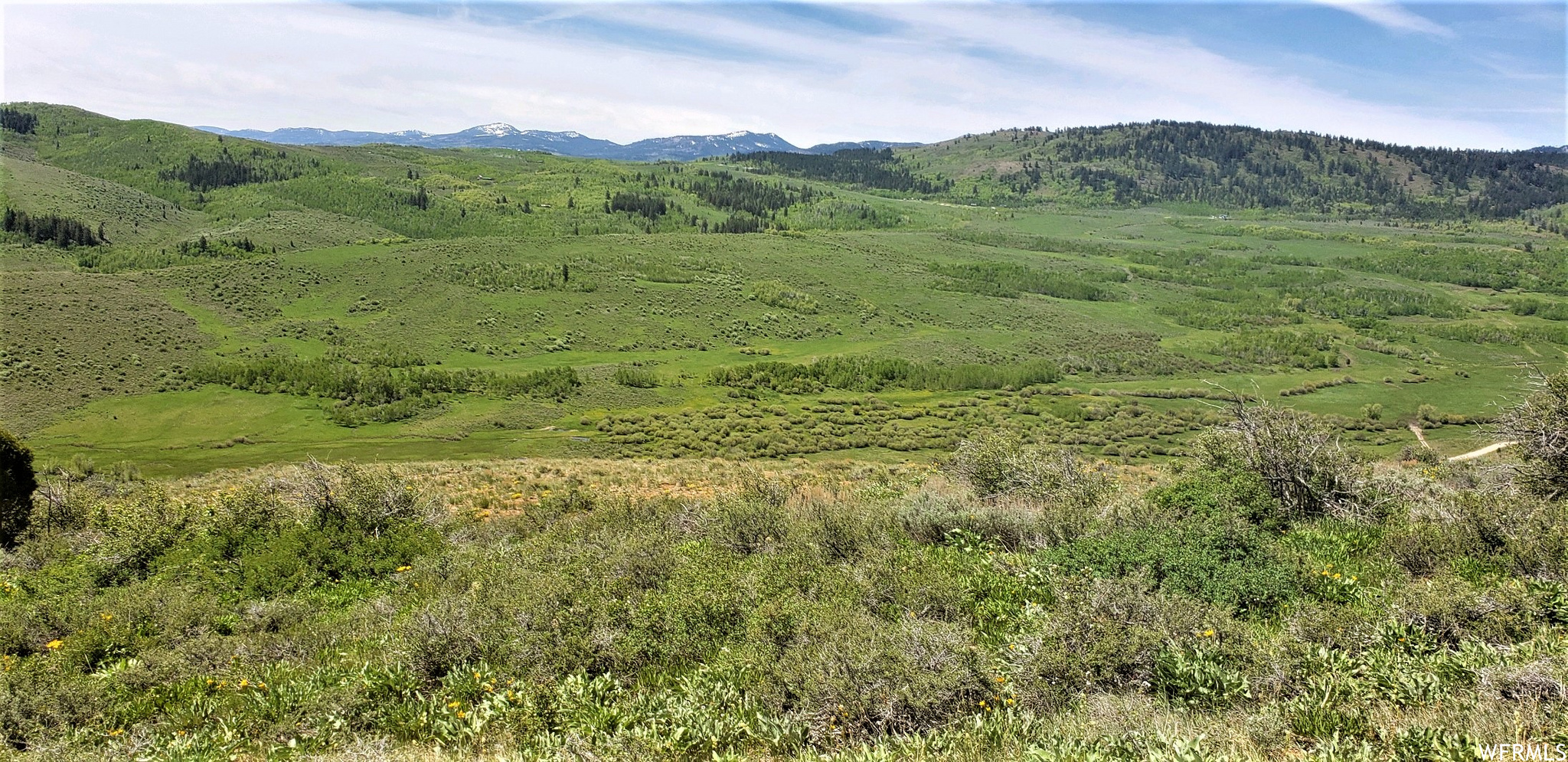 1354 Stauffer Canyon Rd, Montpelier, Idaho image 16