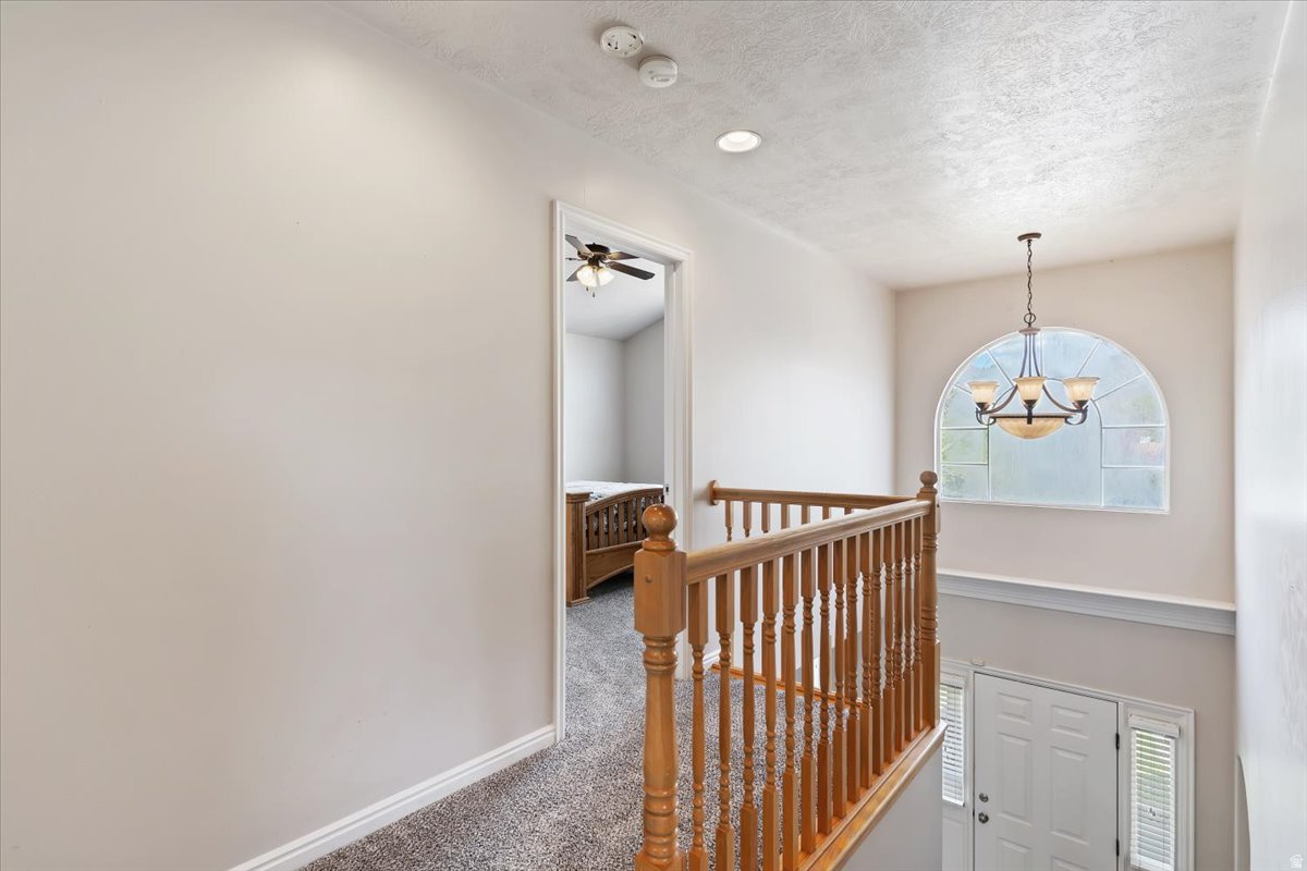 CEDAR BENCH - Residential