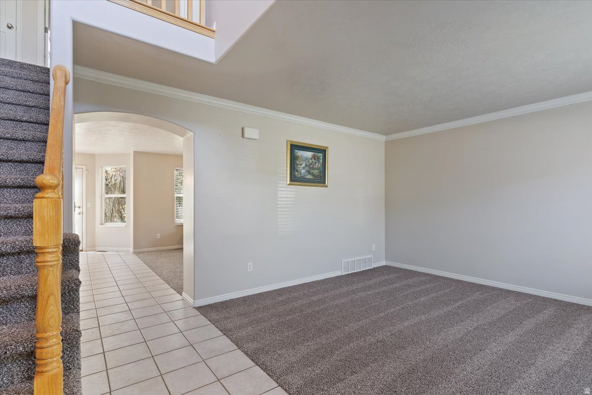 CEDAR BENCH - Residential