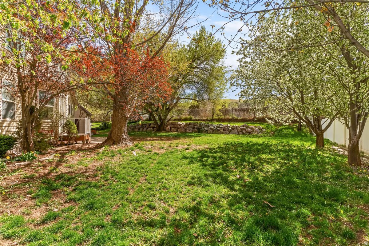 CEDAR BENCH - Residential