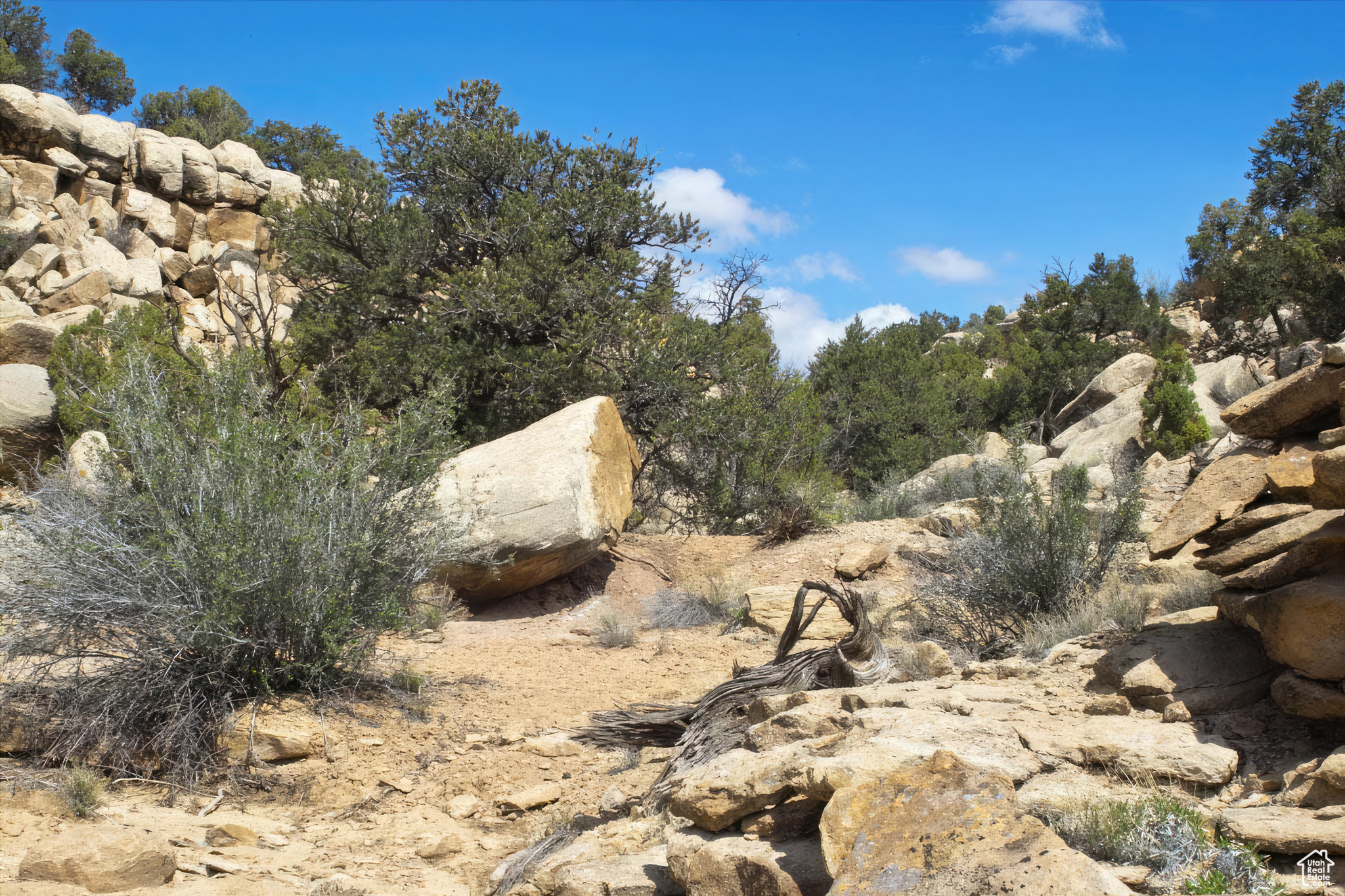 160 S Bridger Jack Trl #9, Moab, Utah image 3
