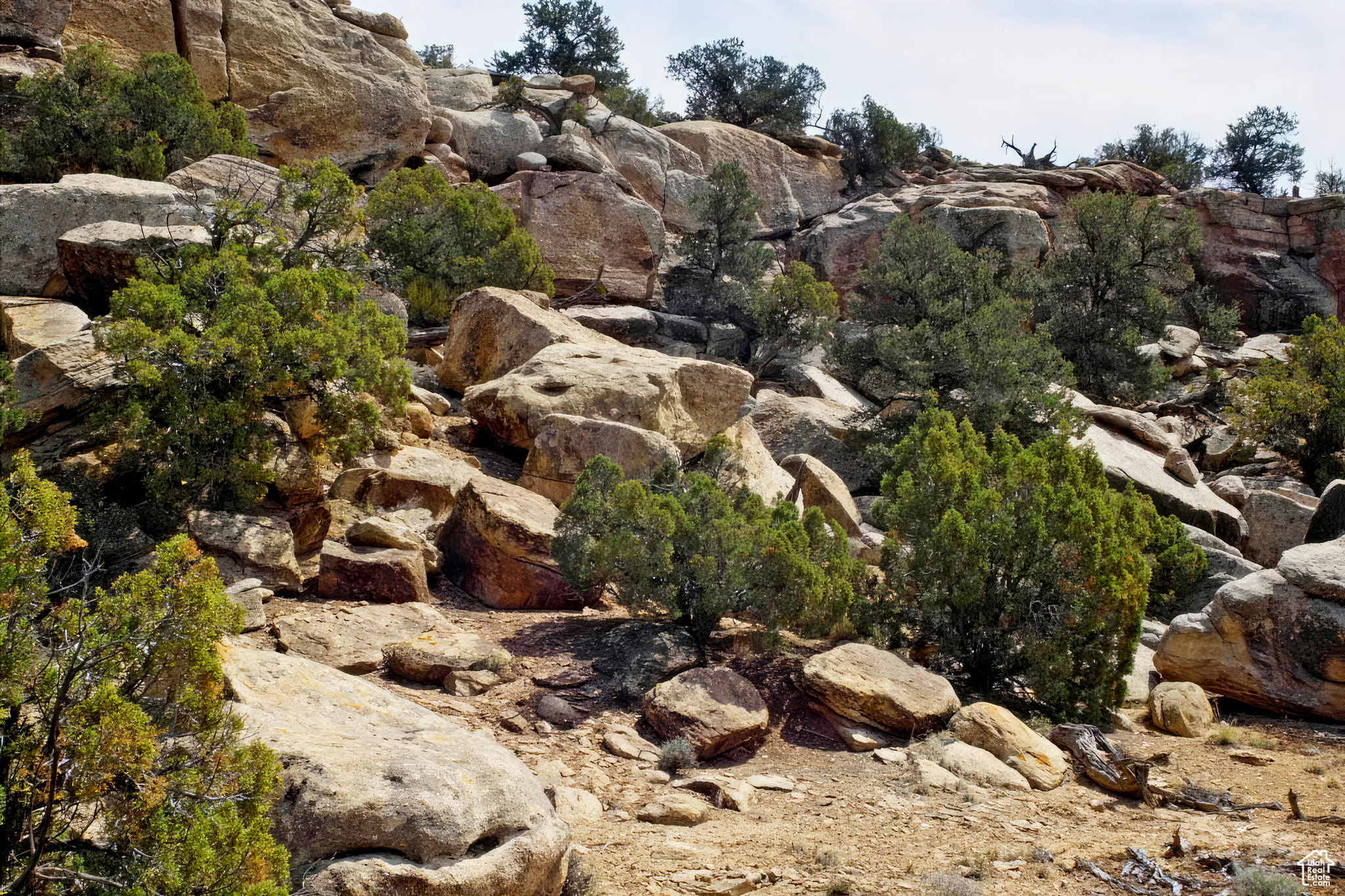 160 S Bridger Jack Trl #9, Moab, Utah image 4