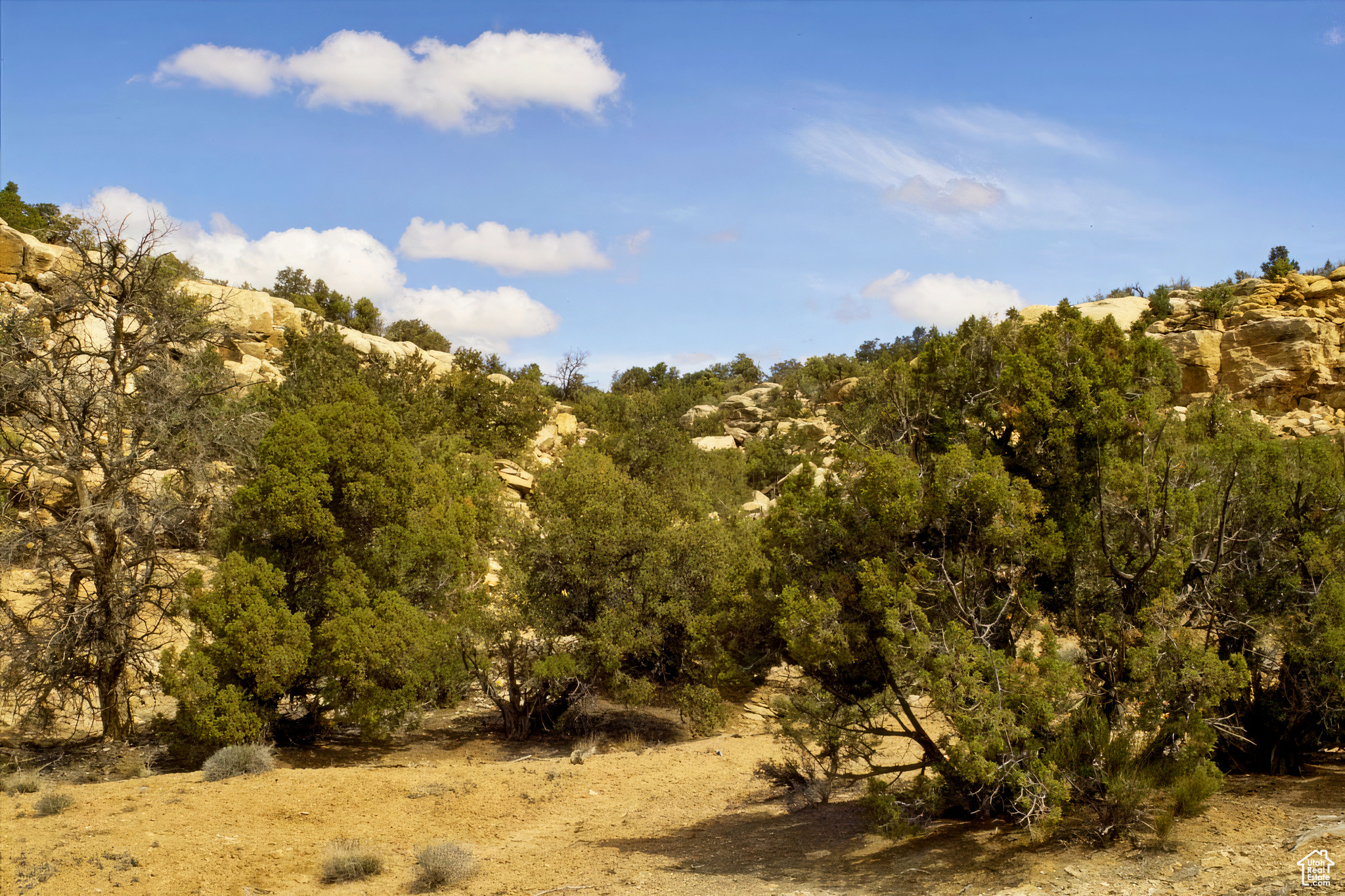 160 S Bridger Jack Trl #9, Moab, Utah image 34