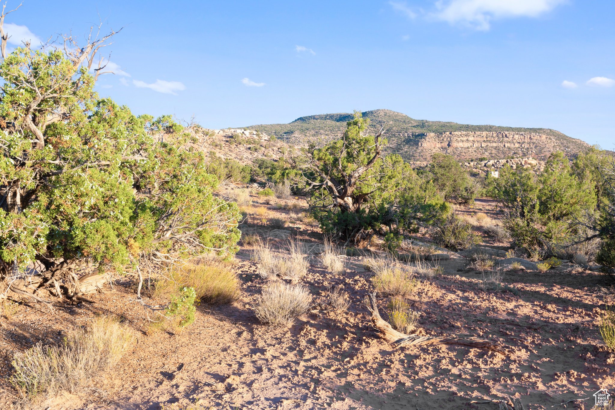 160 S Bridger Jack Trl #9, Moab, Utah image 5