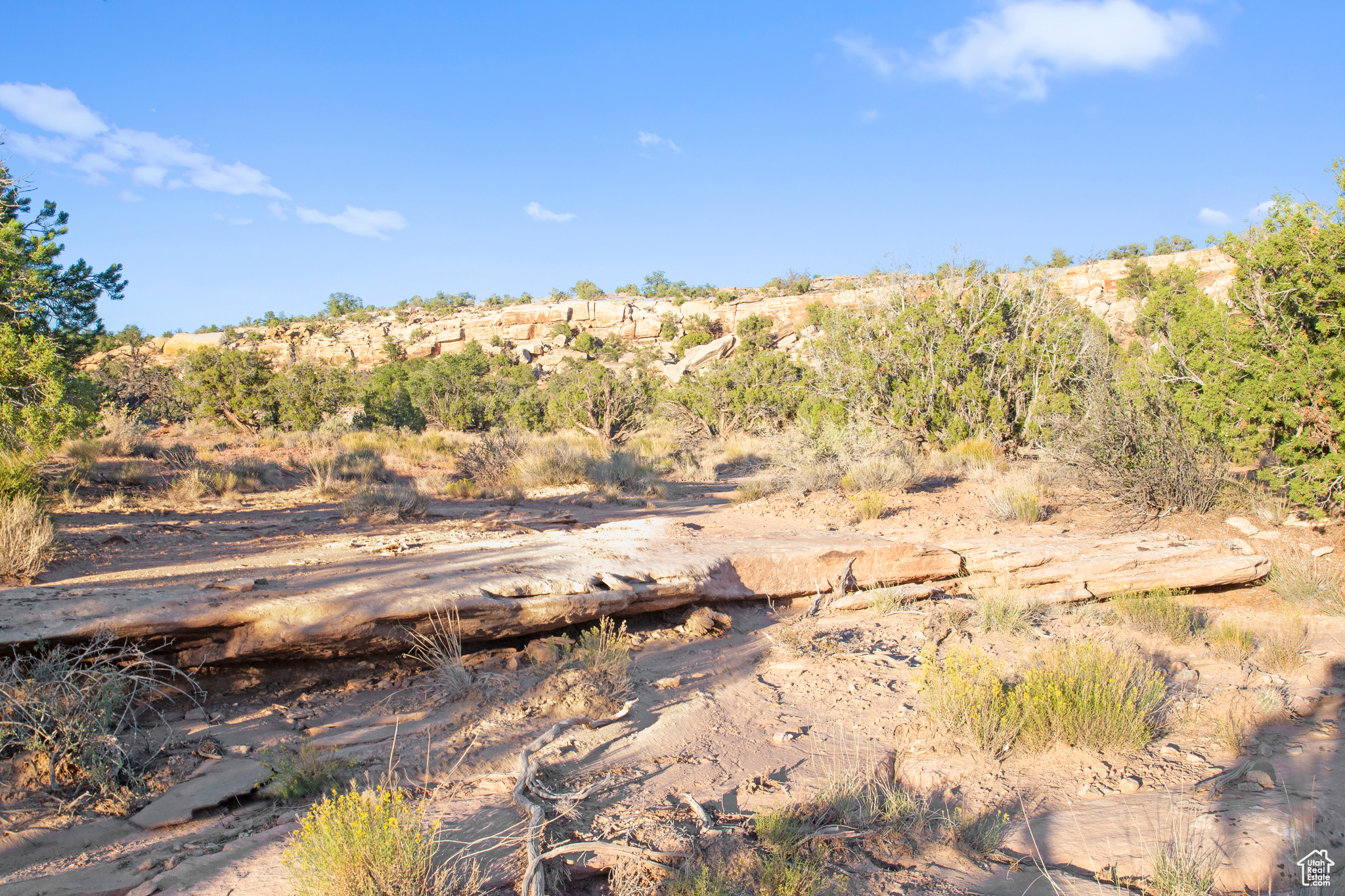 160 S Bridger Jack Trl #9, Moab, Utah image 28