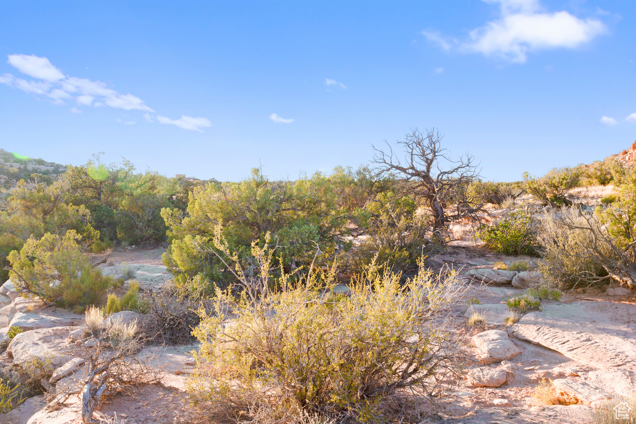 160 S Bridger Jack Trl #9, Moab, Utah image 27