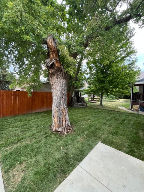Tiny photo for 302 N HARRISVILLE RD, Ogden, UT 84404 (MLS # 2182058)