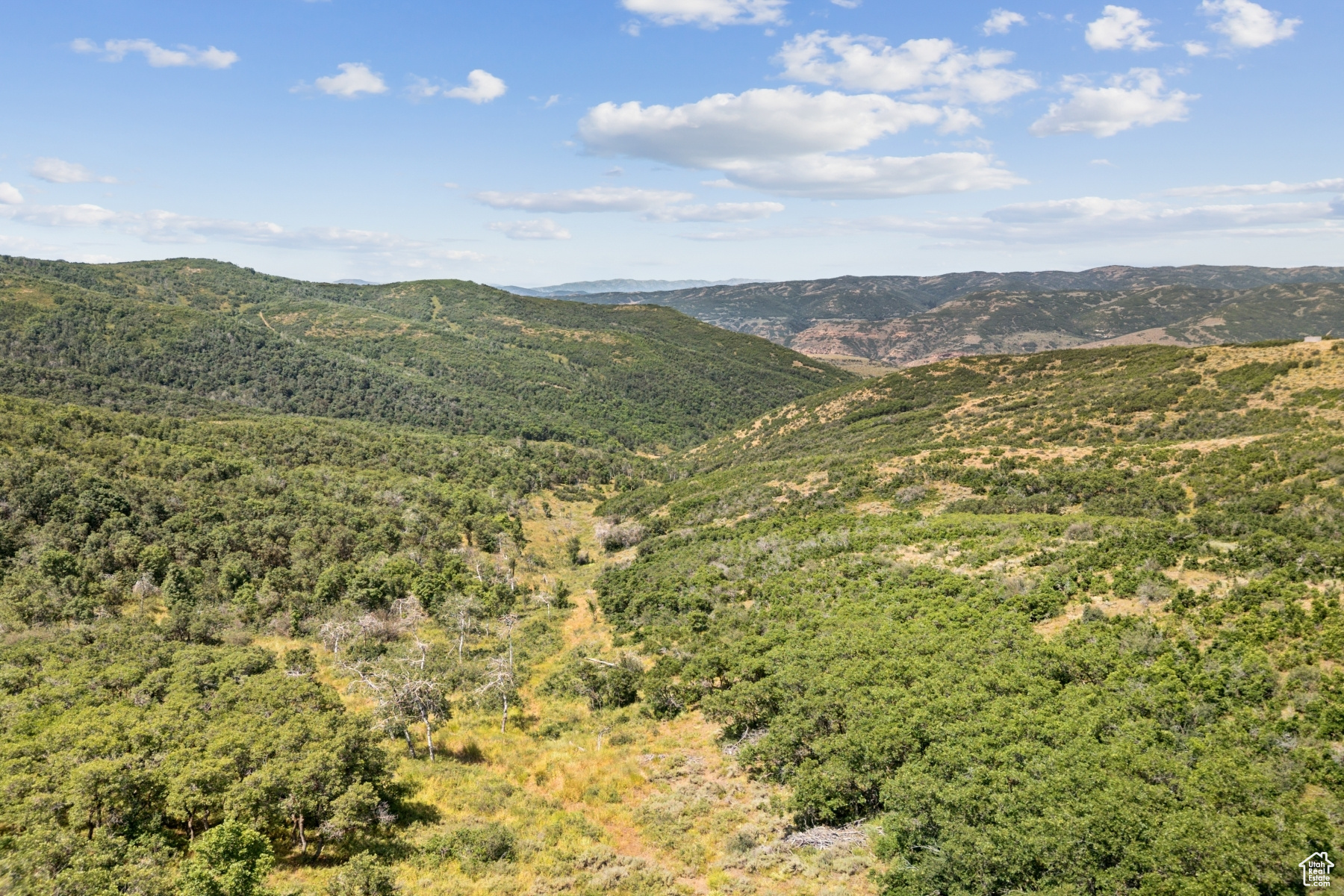 ECHO CREEK RANCHES - Land