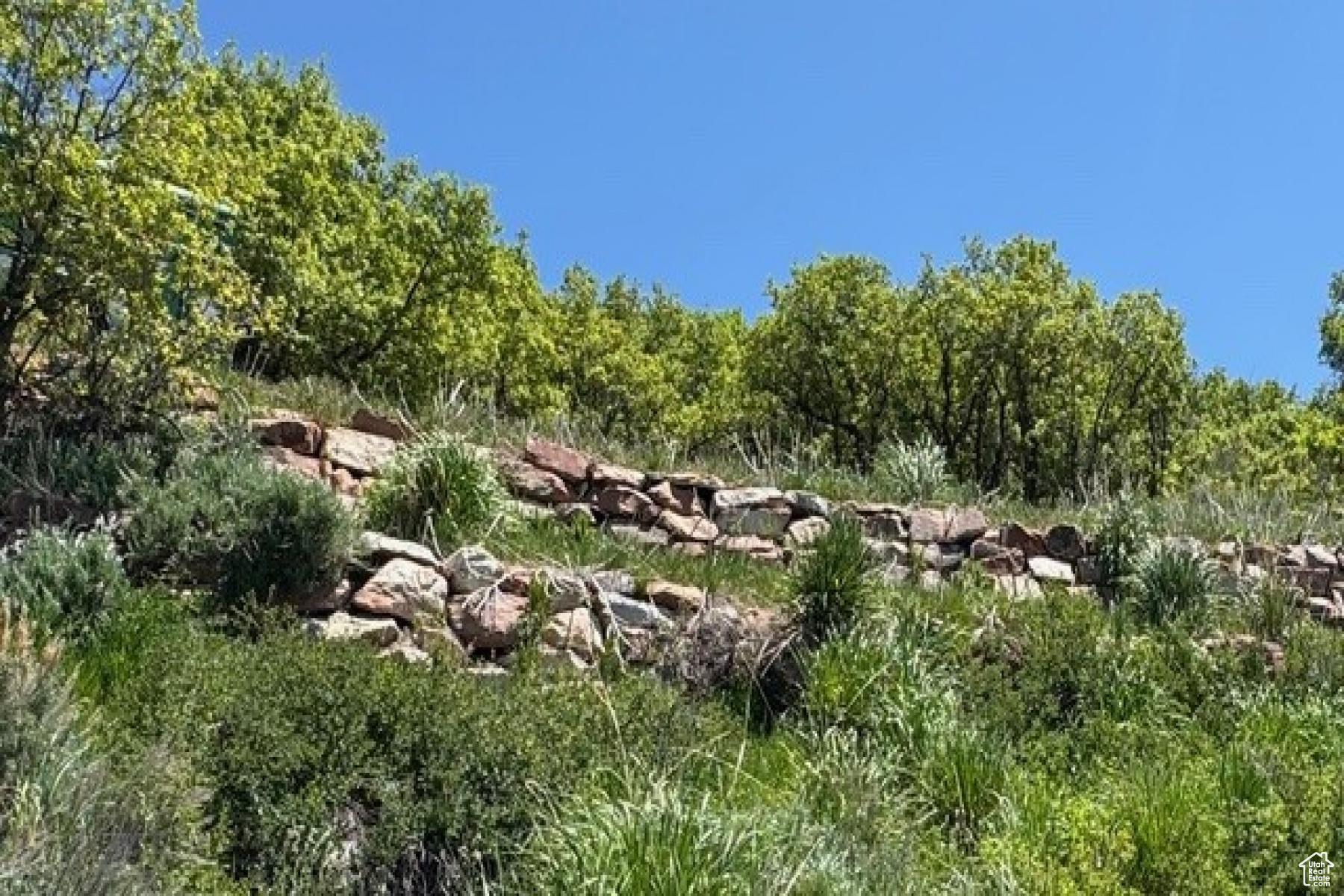 ECHO CREEK RANCHES - Land