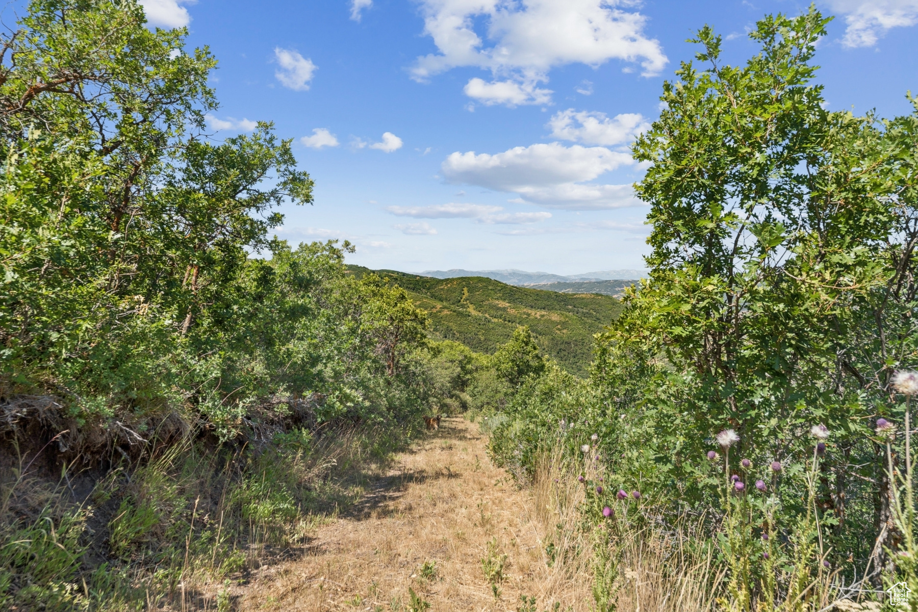 ECHO CREEK RANCHES - Land