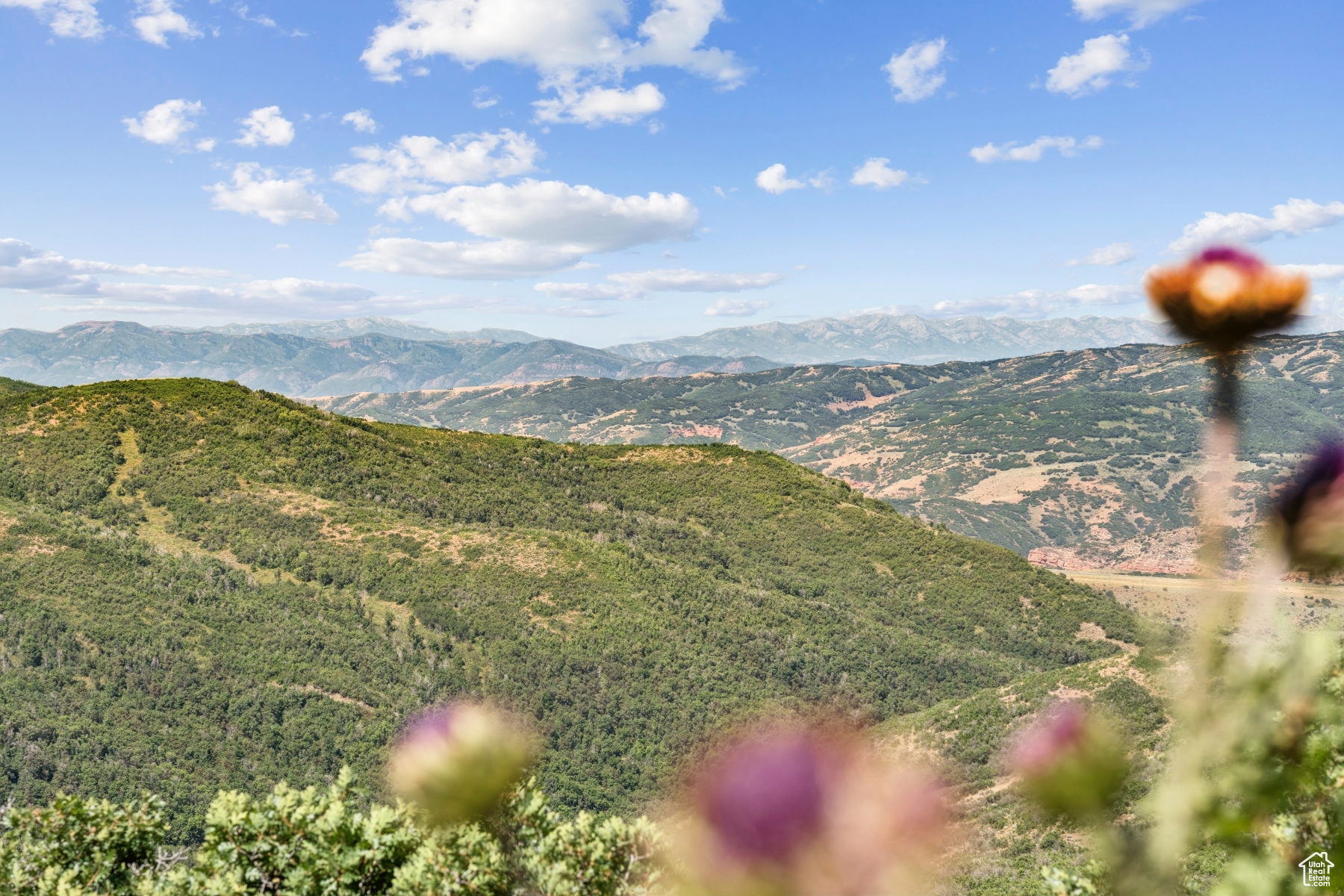 ECHO CREEK RANCHES - Land