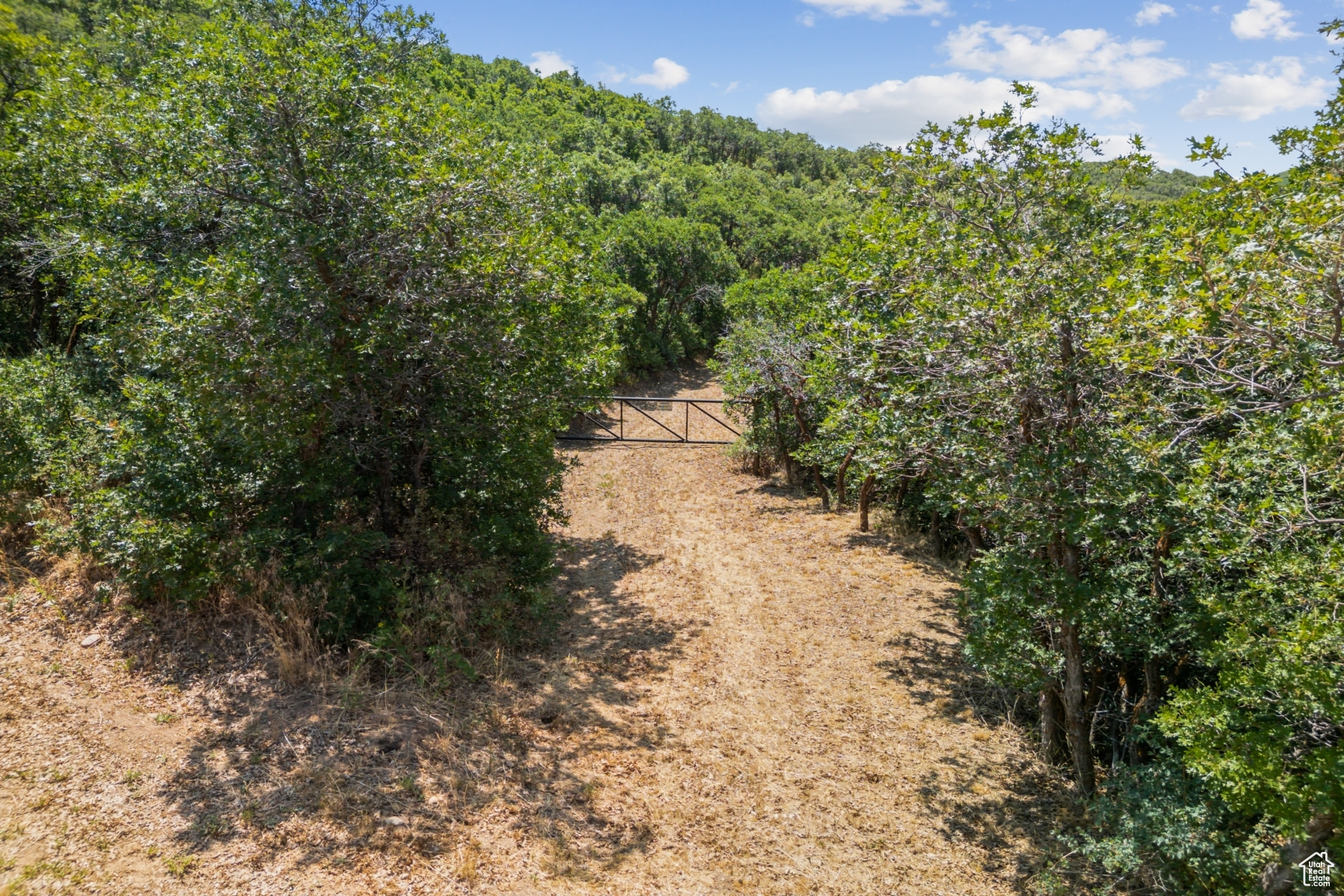 ECHO CREEK RANCHES - Land
