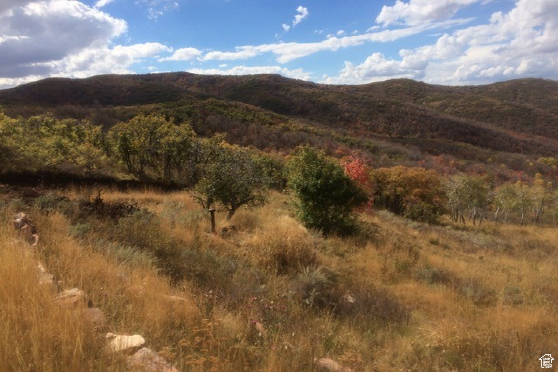 ECHO CREEK RANCHES - Land