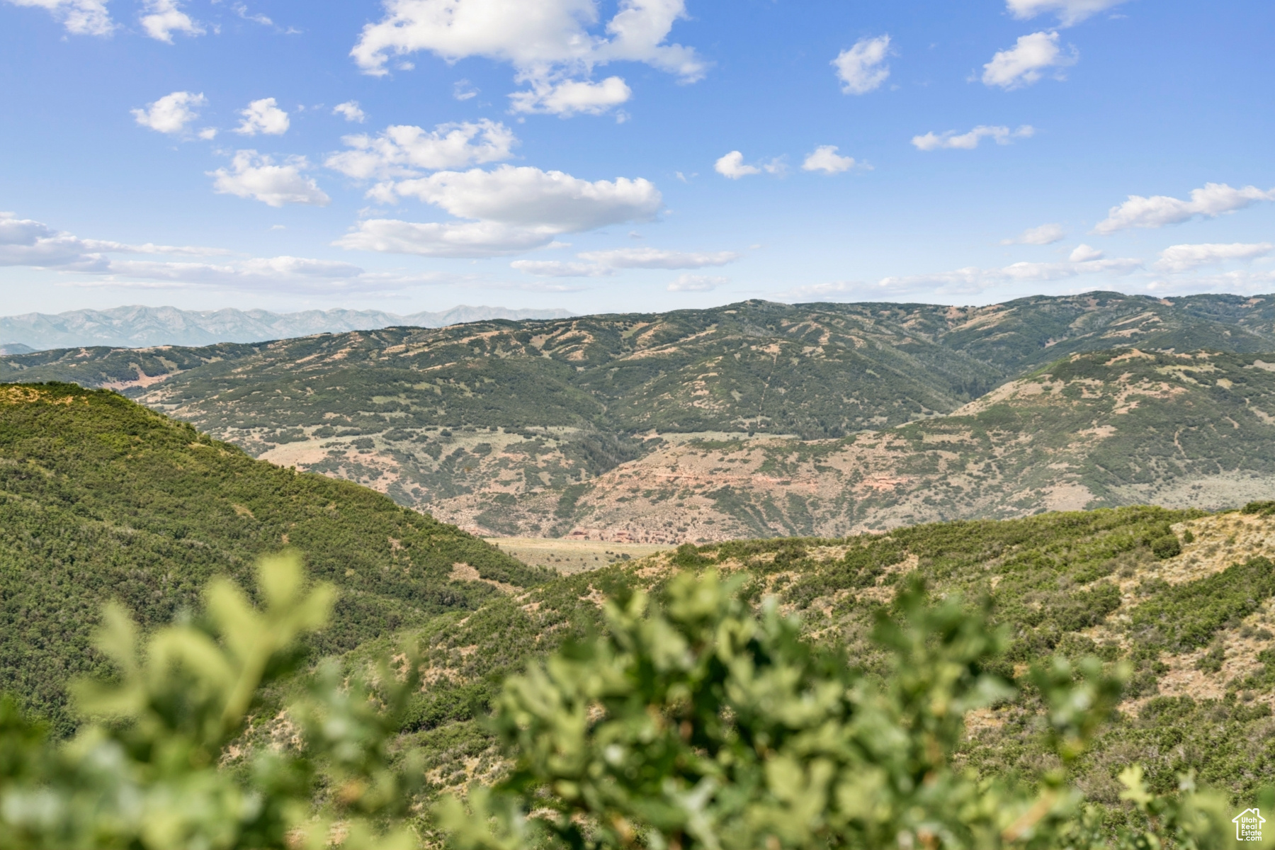 ECHO CREEK RANCHES - Land