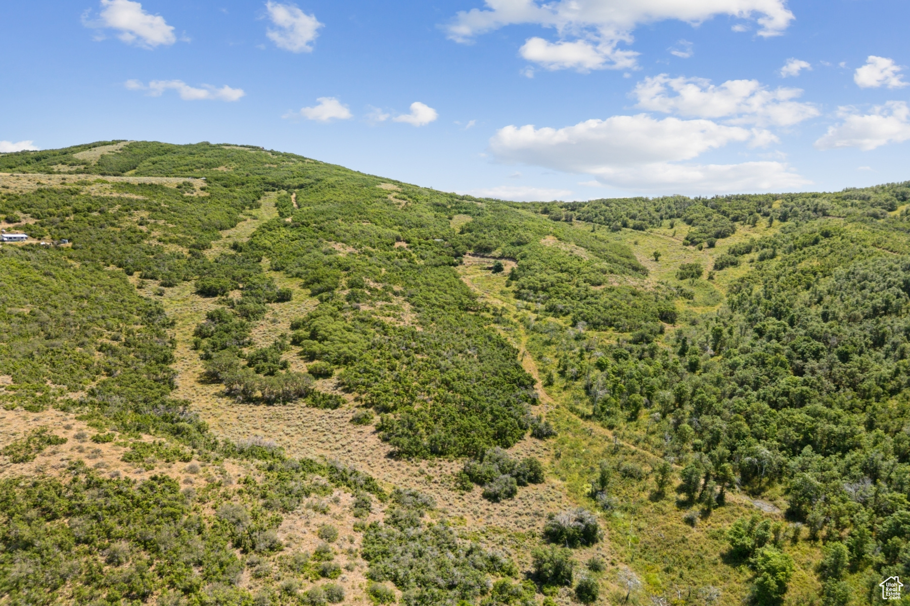 ECHO CREEK RANCHES - Land
