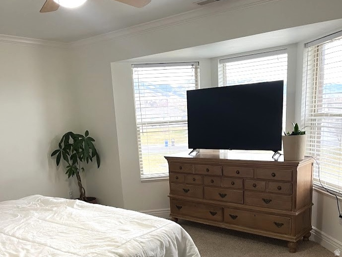 CASTLE VIEW MANOR - Residential