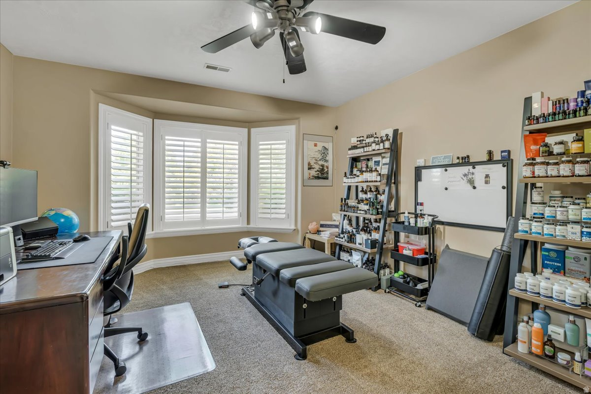 JONES MEADOW - Residential