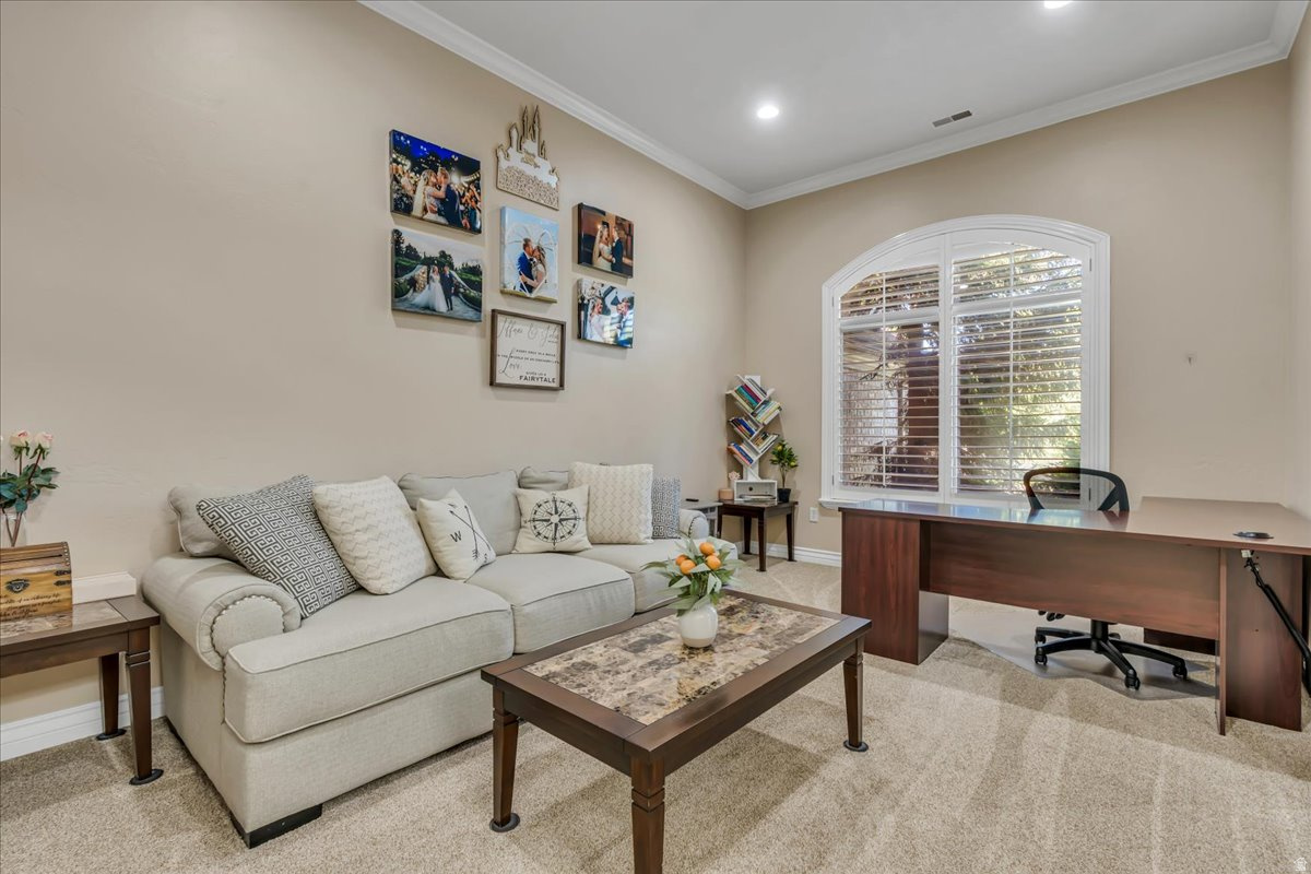 JONES MEADOW - Residential