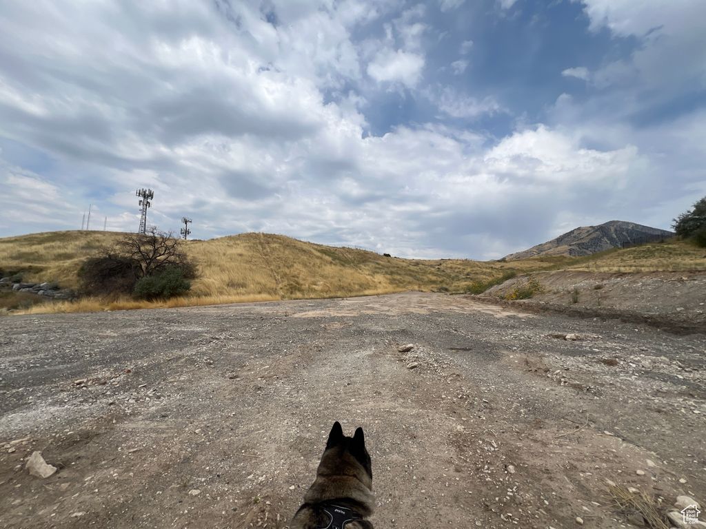 Photo of 159 WINDING WAY #49, Logan, UT 84321 (MLS # 2022226)