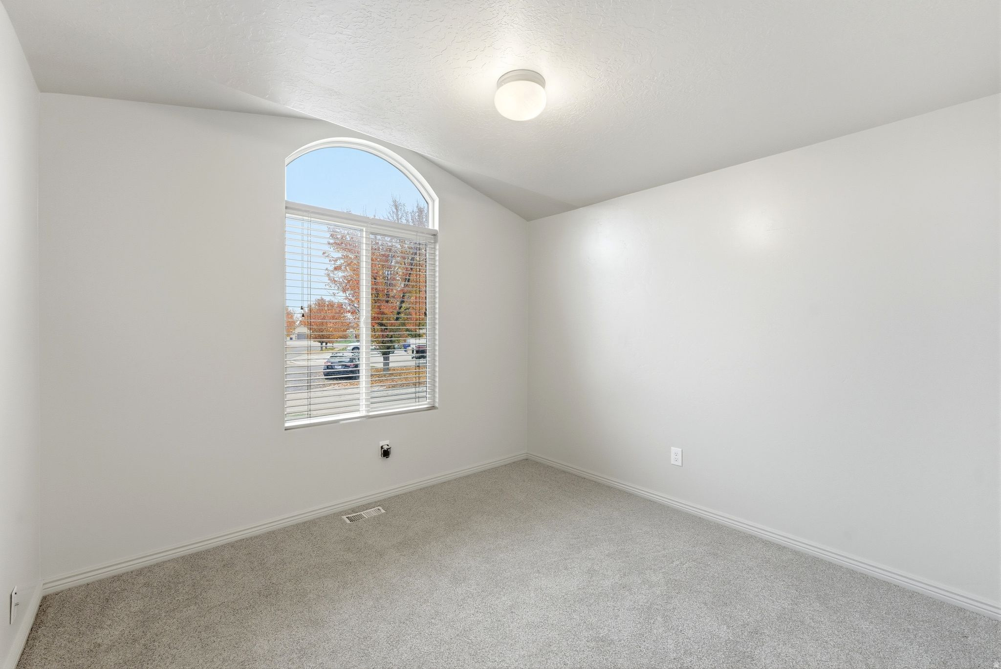 WILD HORSES - Residential